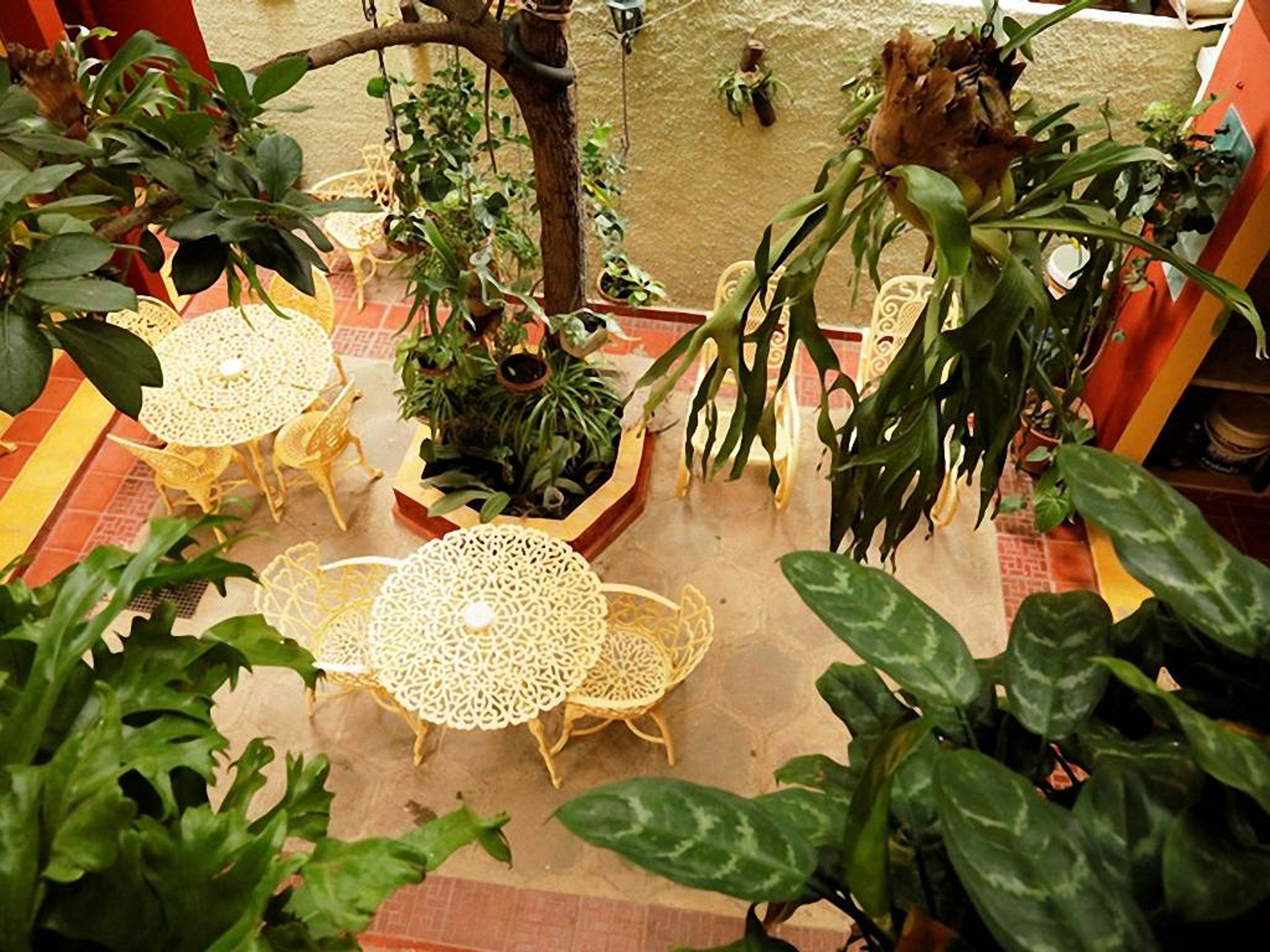 La Casa D’ Pepe, ANSELMO RODRÍGUEZ, No. 253House's inside patio view