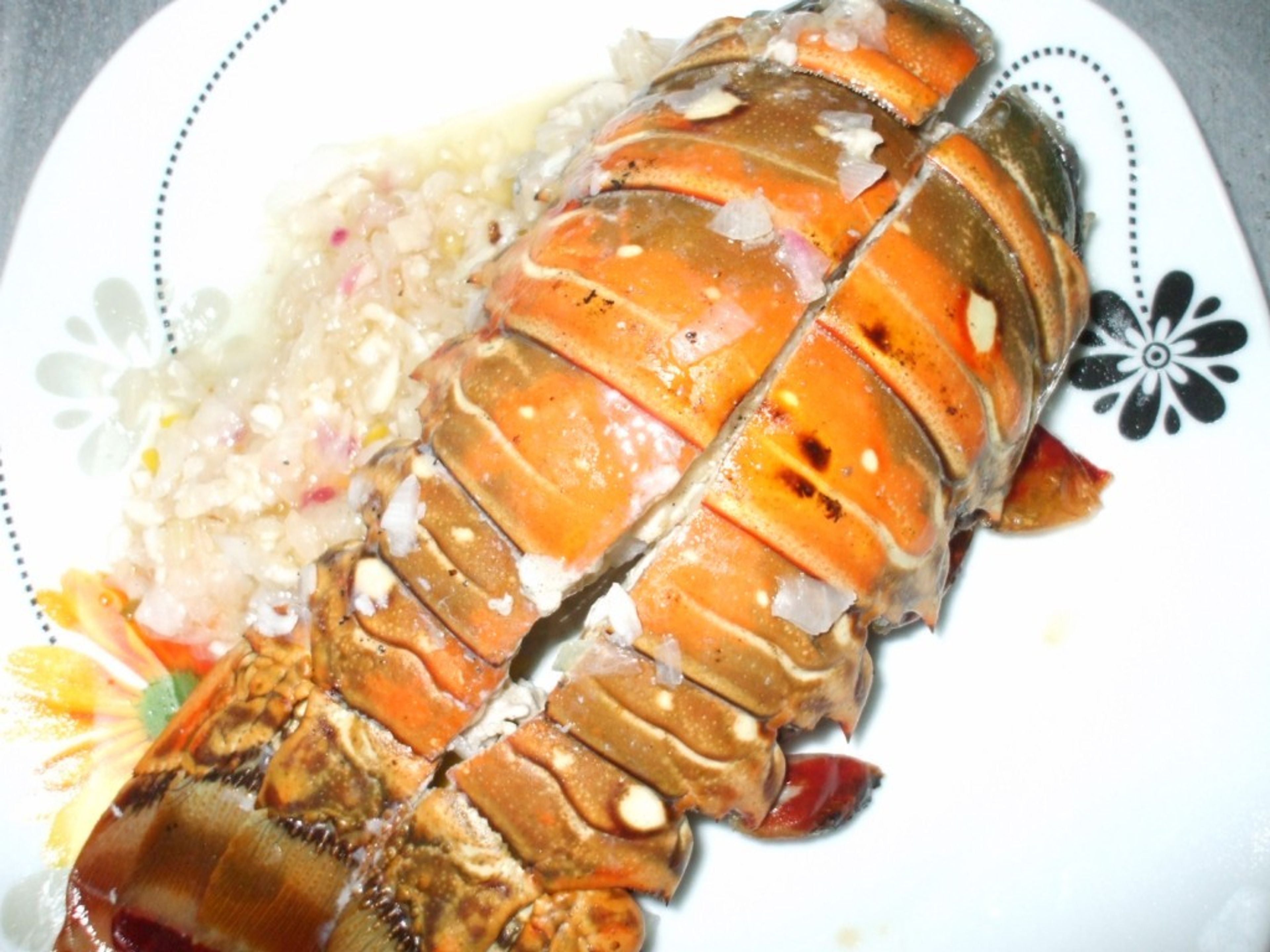 Casa Roxana y Armando, MONCADA, No. 18-CLunch service with seafood