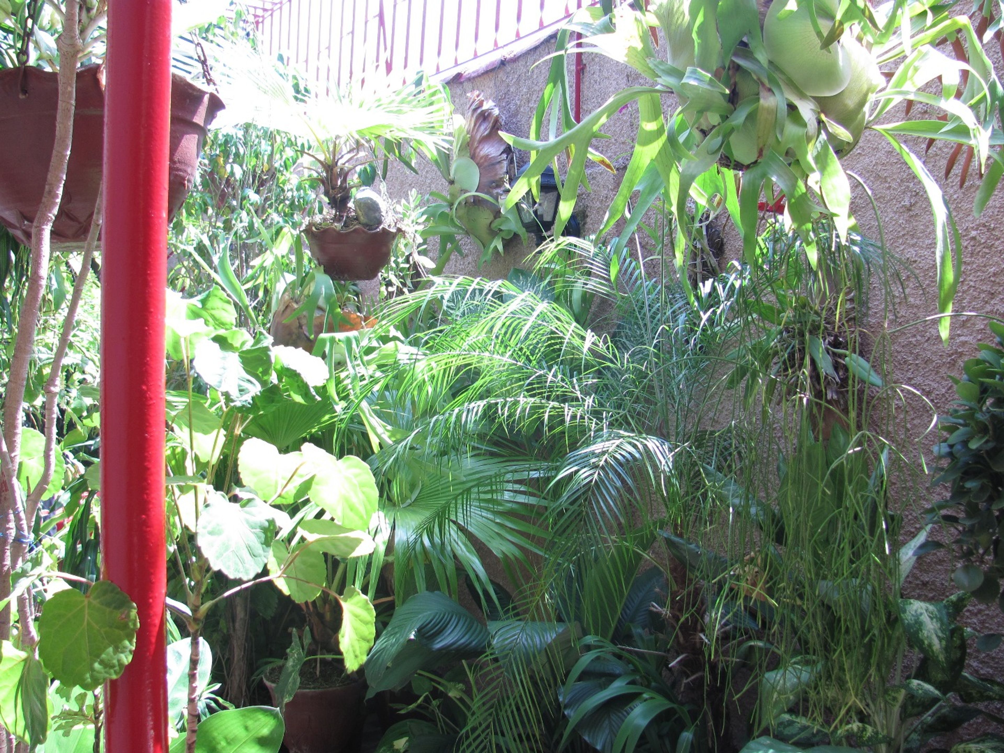 Hostal Alba, EDUARDO MACHADO (San Cristobal), No. 7Terrace´s details