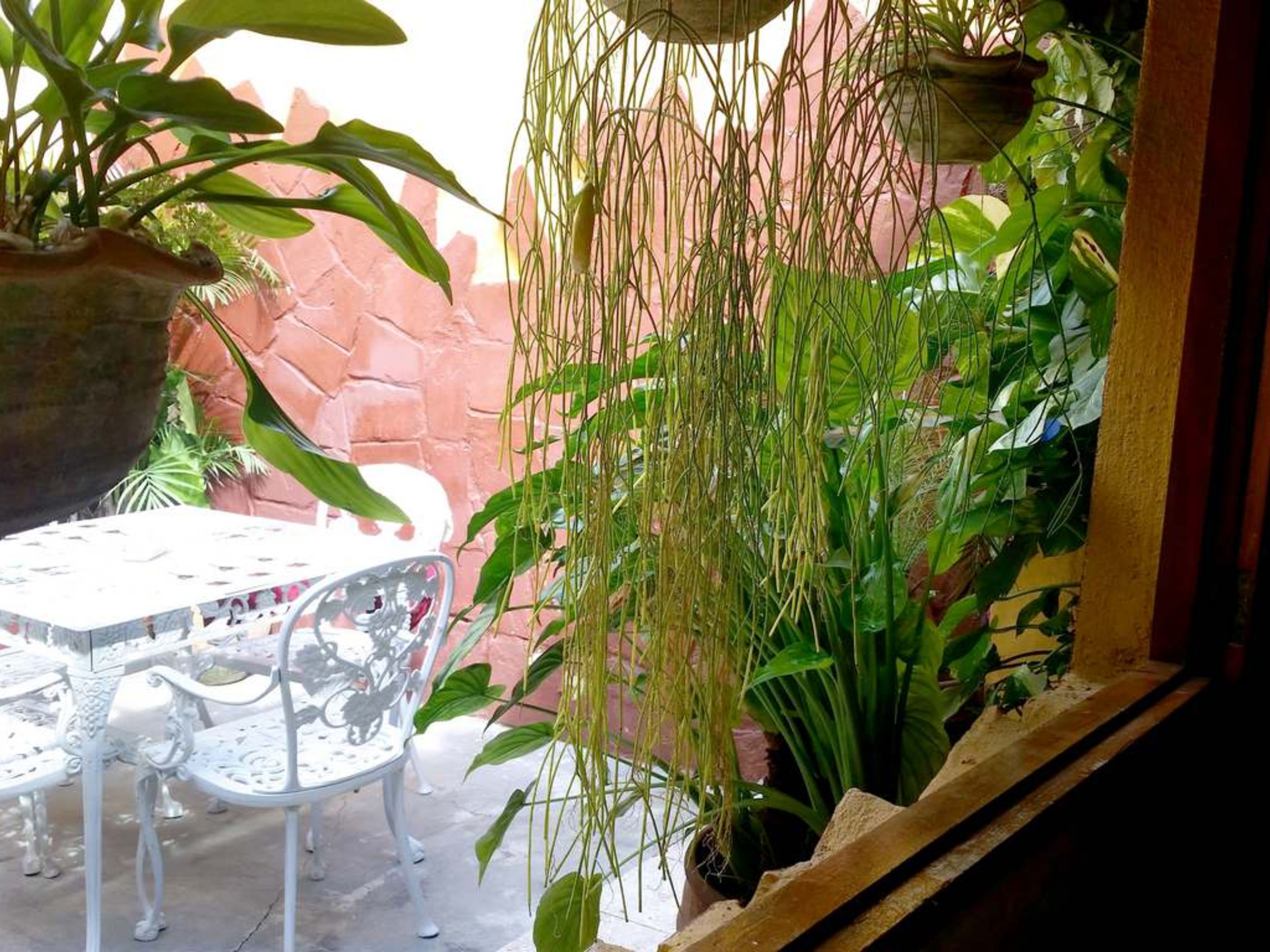 Casa Doña Cuca, PIRO GUINART (Boca) No. 249House's interior patio view