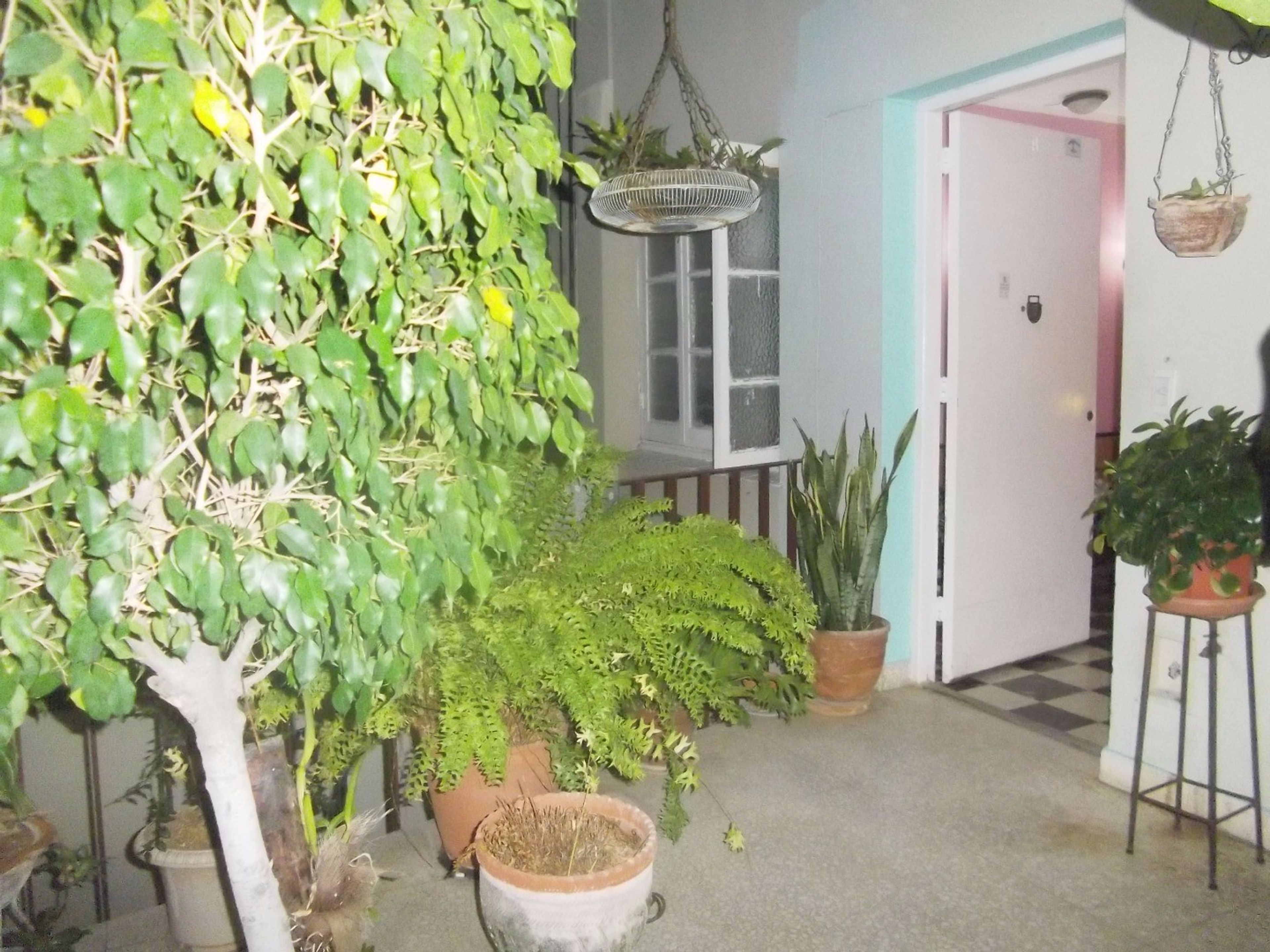 Дом Mary Carmen, LEALTAD, No. 415Apartment's patio view