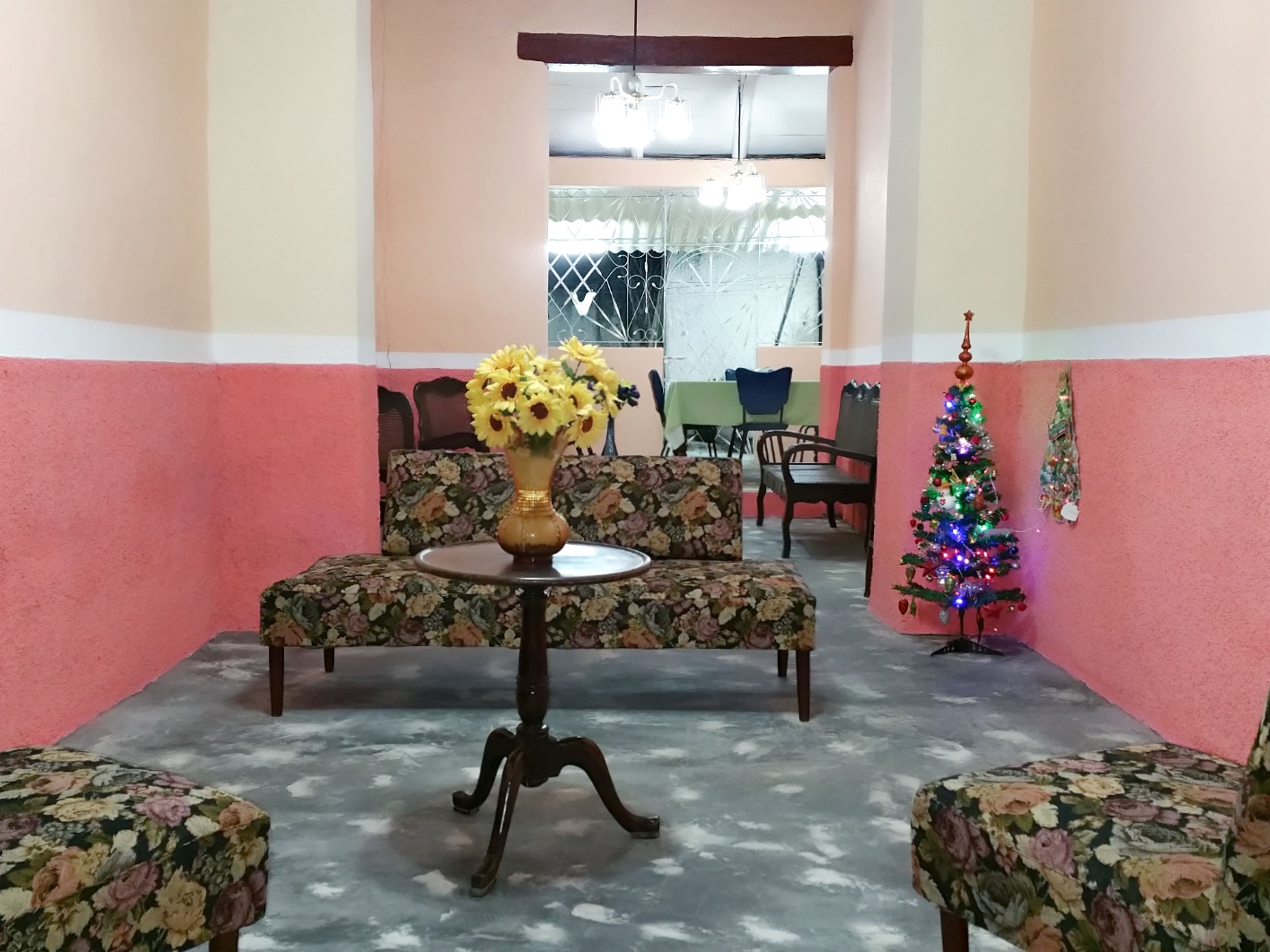 Доm Colonial Parque de Jesús, INDEPENDENCIA, No. 206 - House´s living room