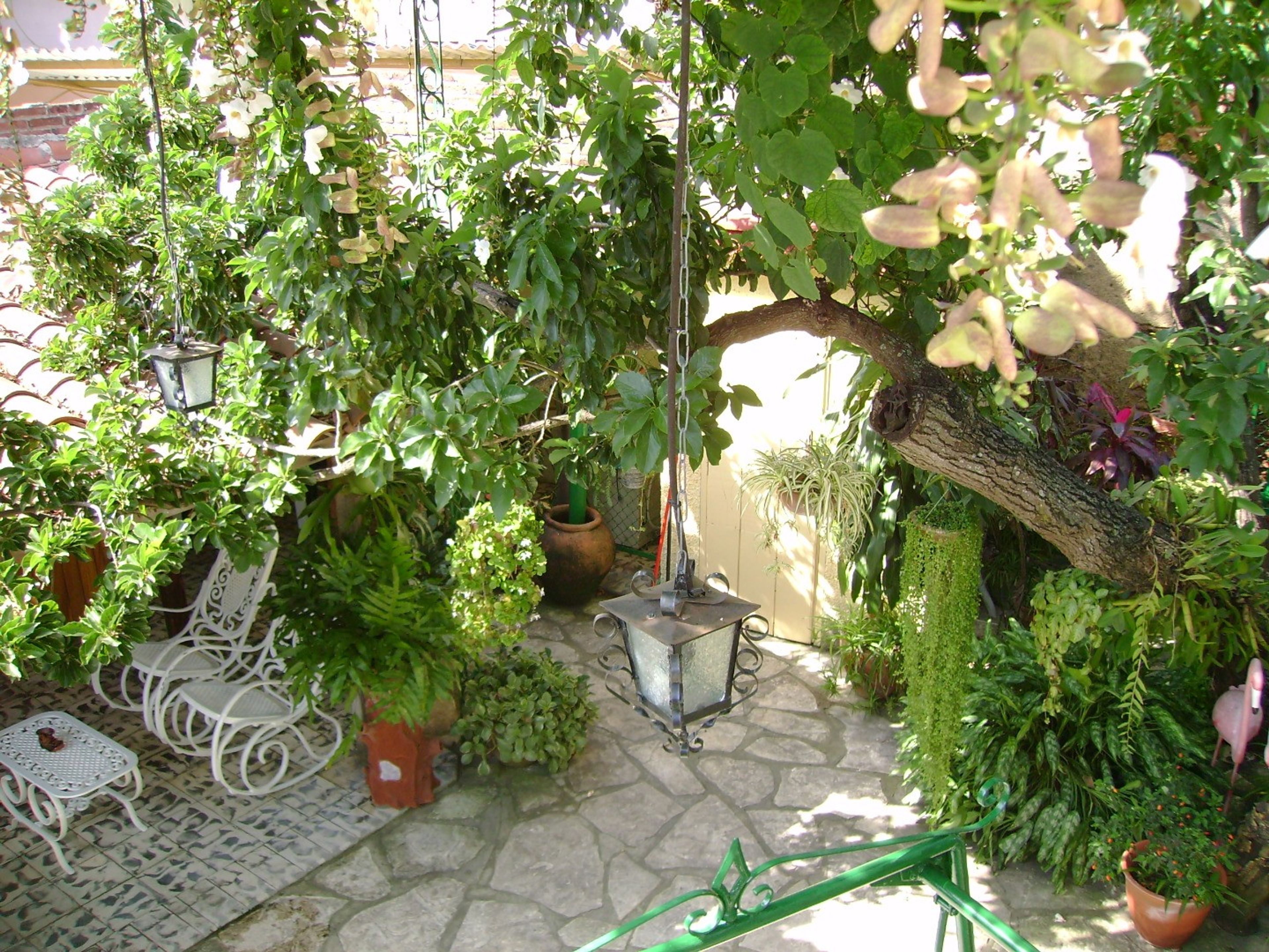 Hostal Iván y Lucy, ALEGRÍA No. 23Inside patio view