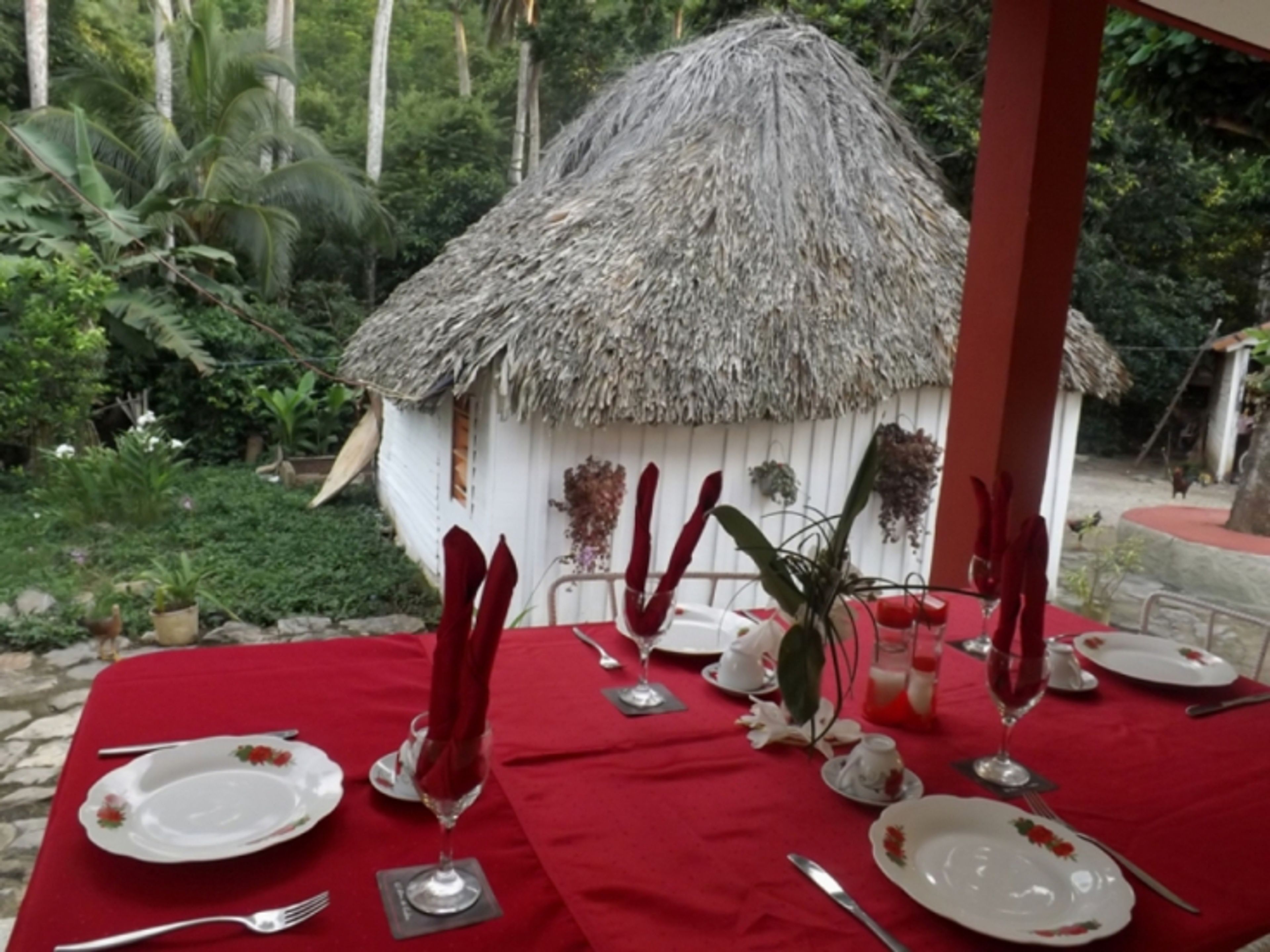 Villa Montaña Tropical, KM 38House´s terrace view