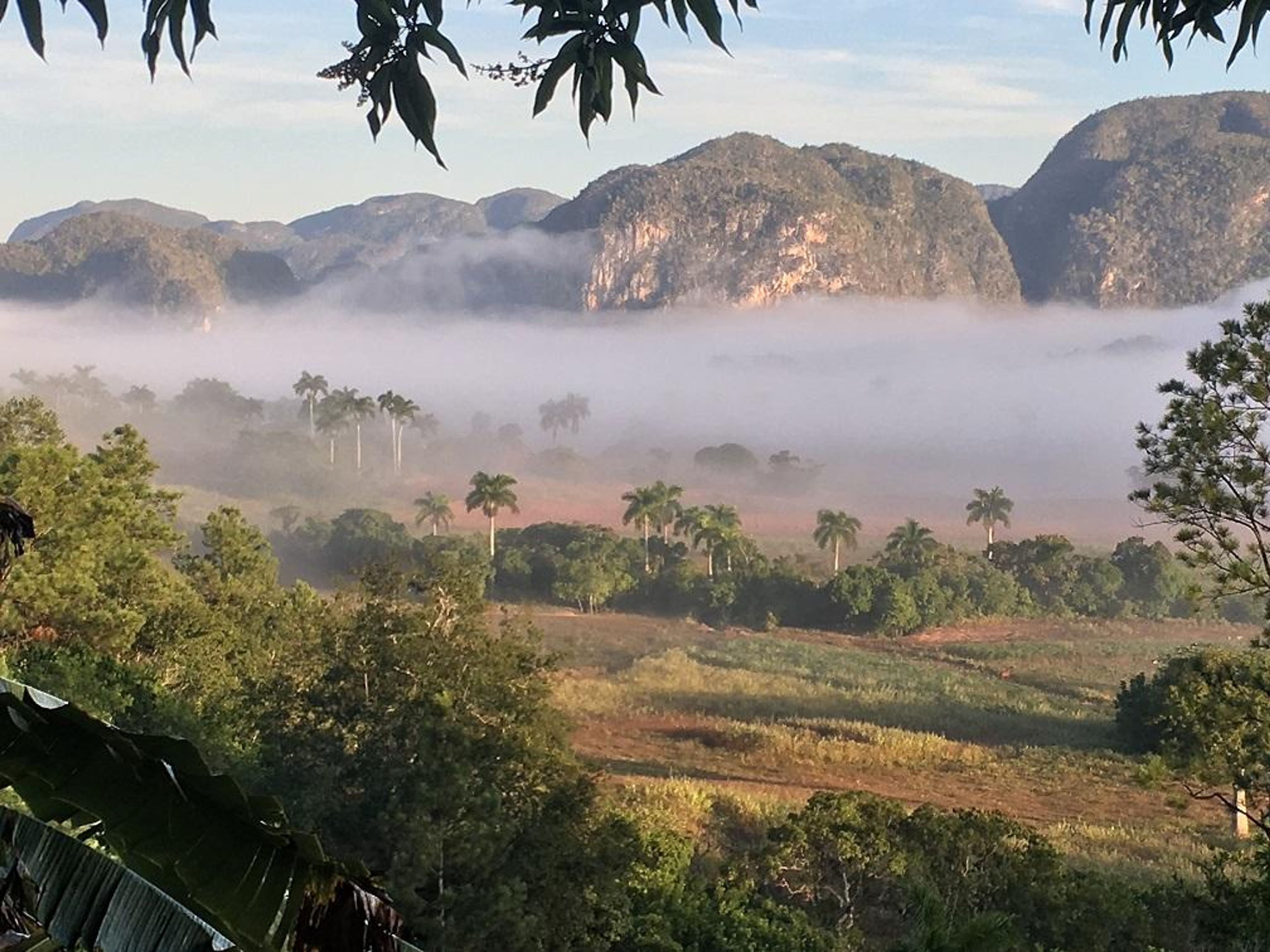 Brisas de Campo House, SALVADOR CISNERO, No. 2Viñales valley panoramic view