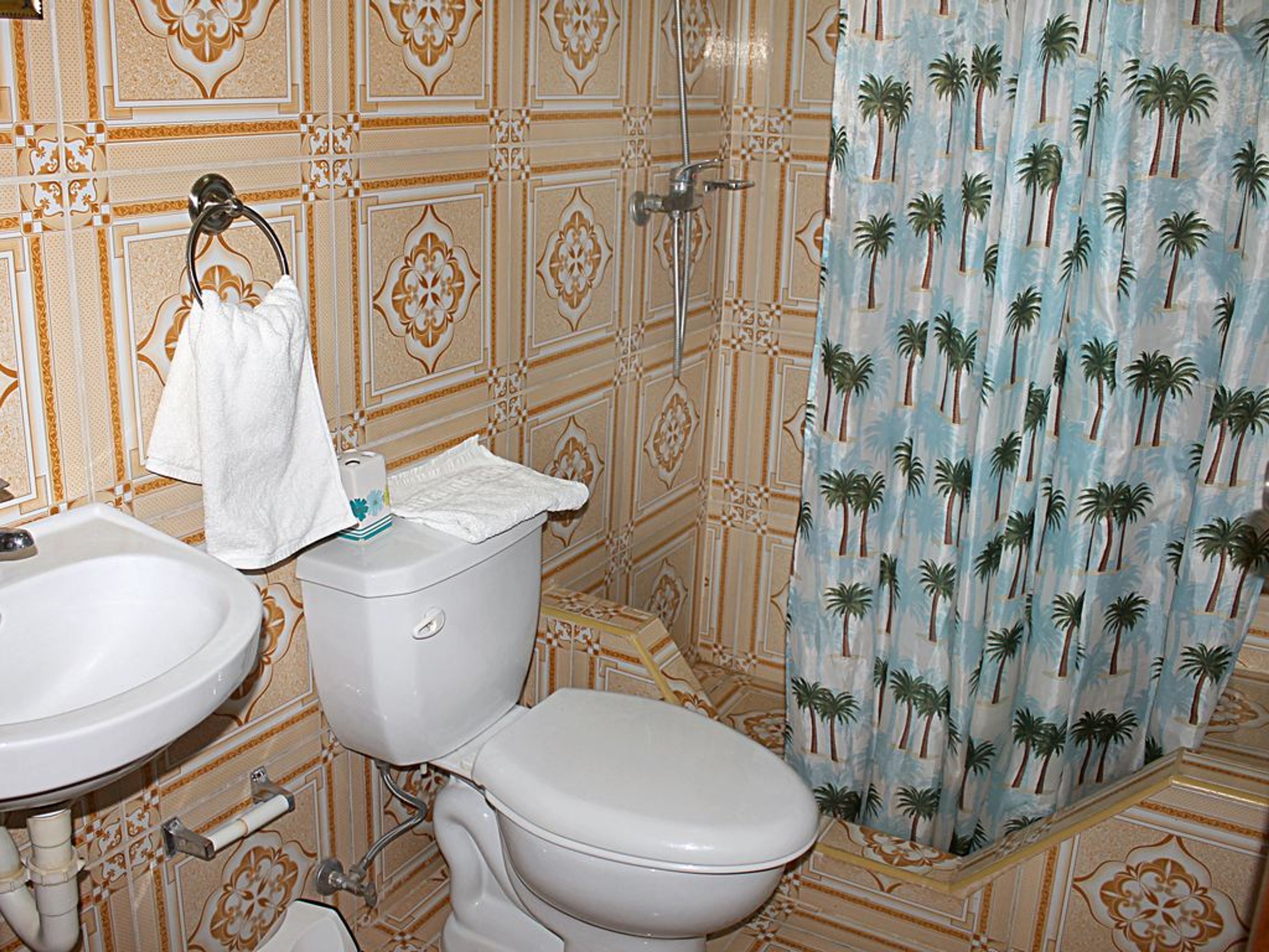 Casa Melian, JESÚS MENÉNDEZ (Alameda), No. 82Bathroom's view