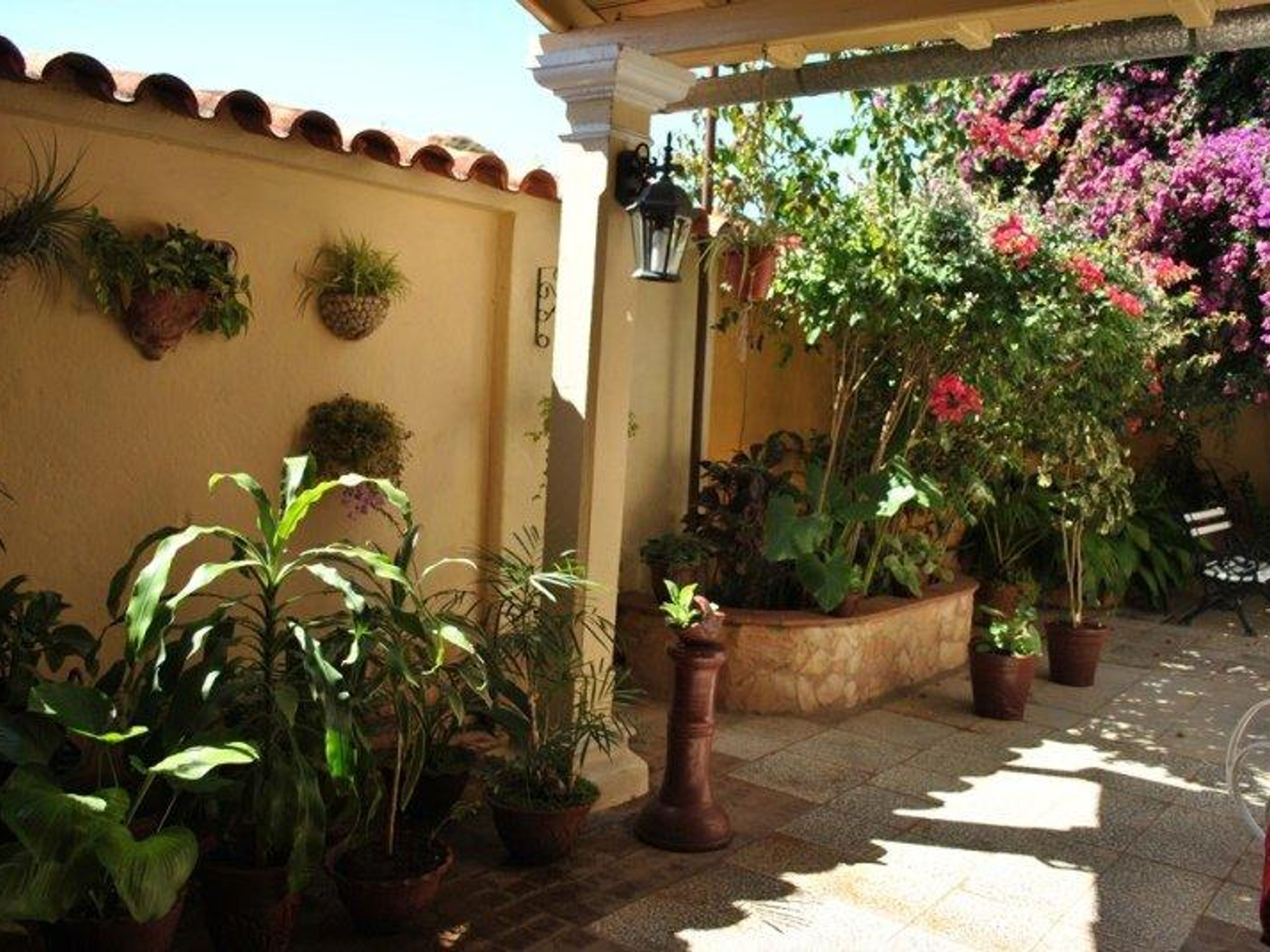 Hostal La Buganvilia, ANDRÉS DEL RIO, No. 46 - Inside patio view