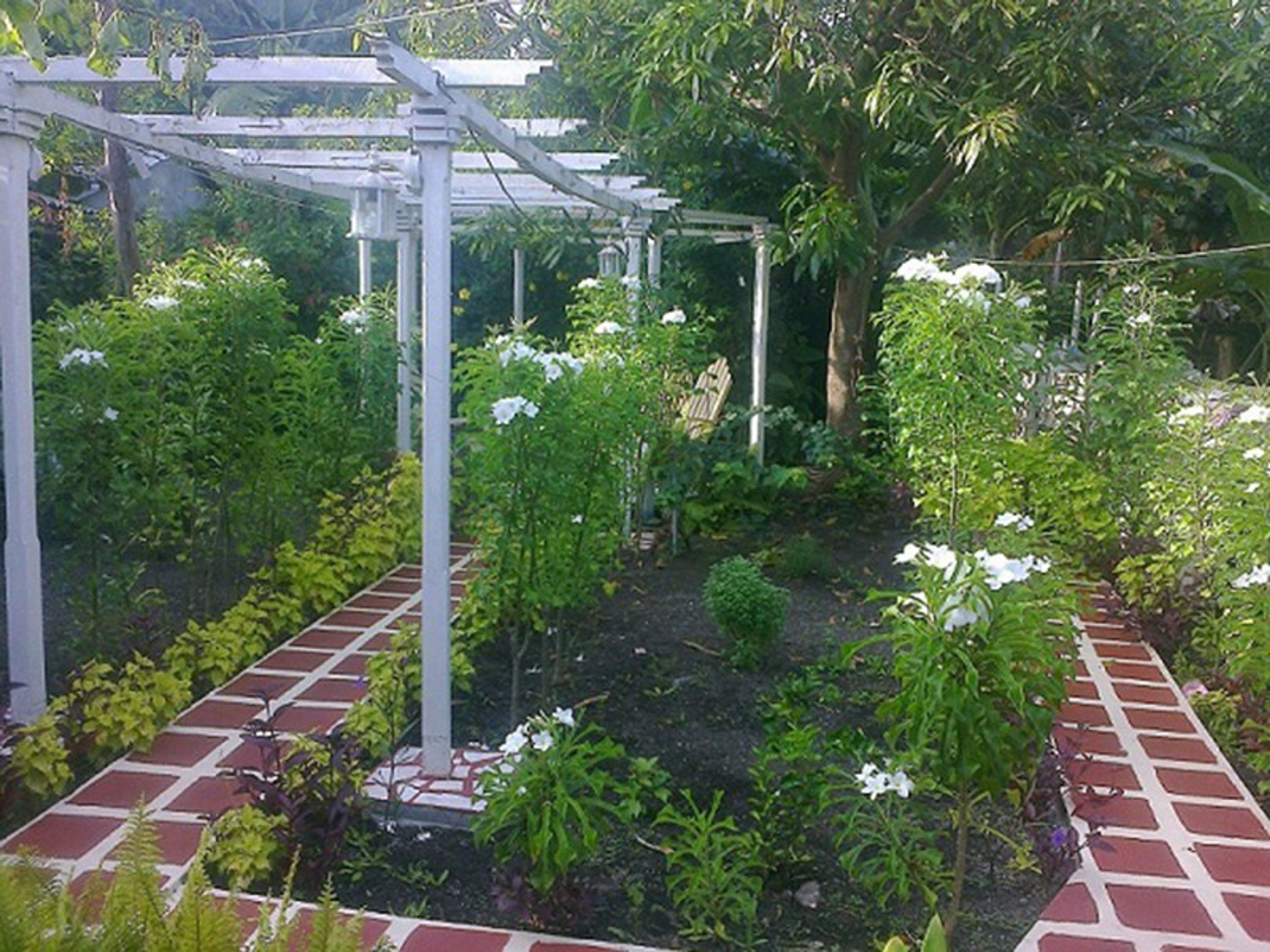 Casa Alejandro y Susana, 1ro DE ABRIL, No. 55House's indoor patio-garden view
