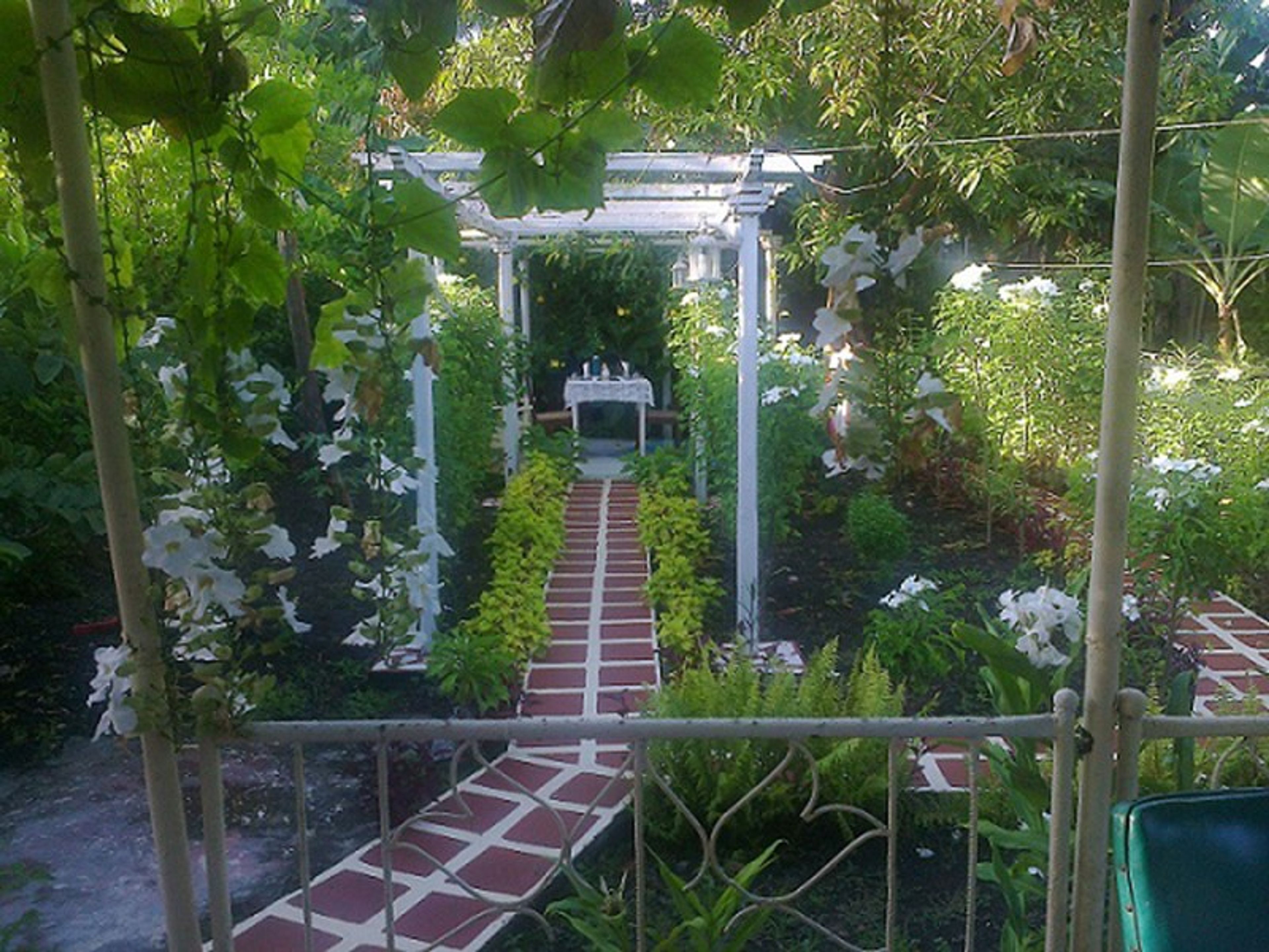 Casa Alejandro y Susana, 1ro DE ABRIL, No. 55House's indoor patio-garden view