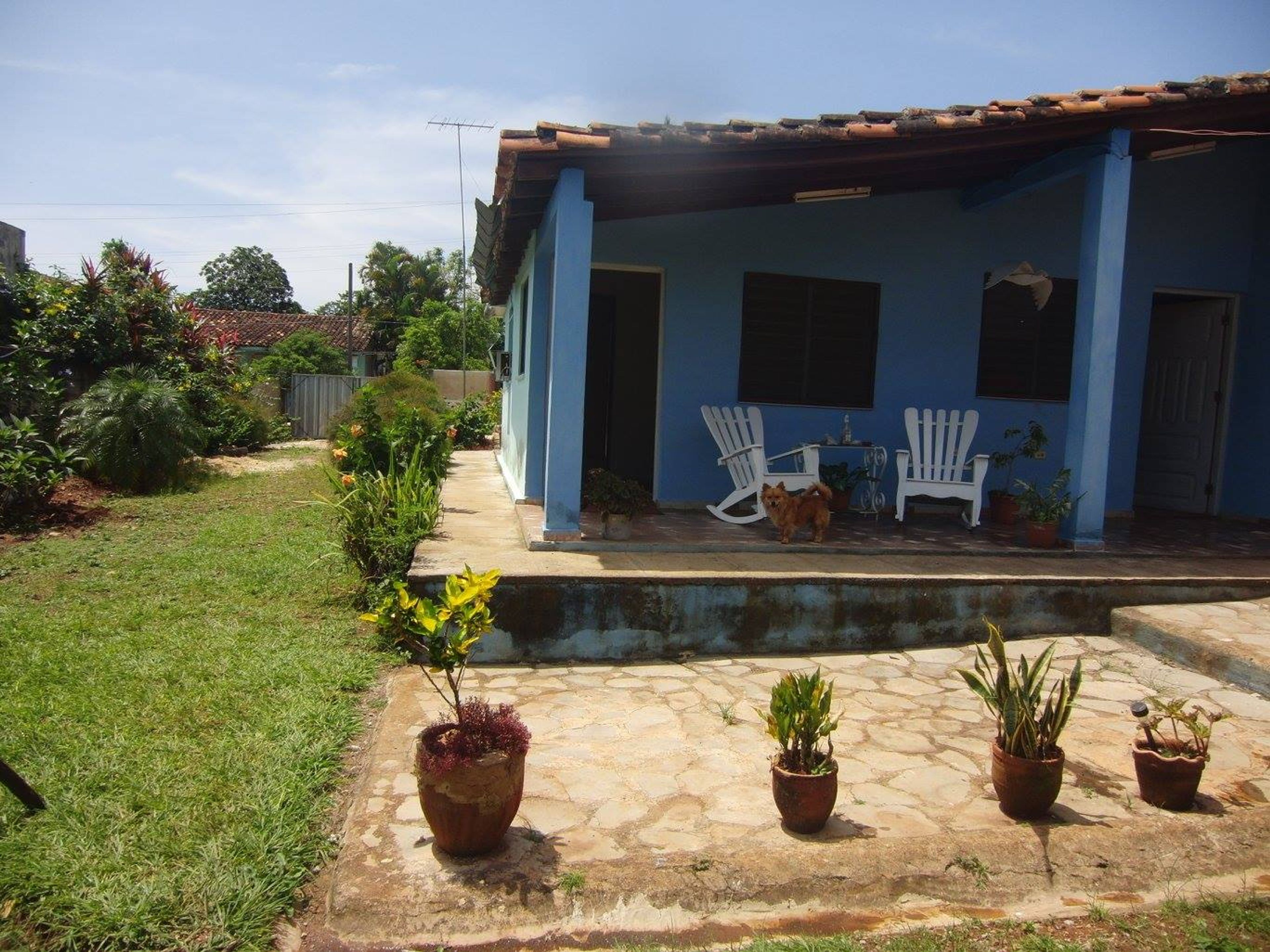 Casa Colonial Dany y Carlos, SALVADOR CISNEROS, No.50Terrace view