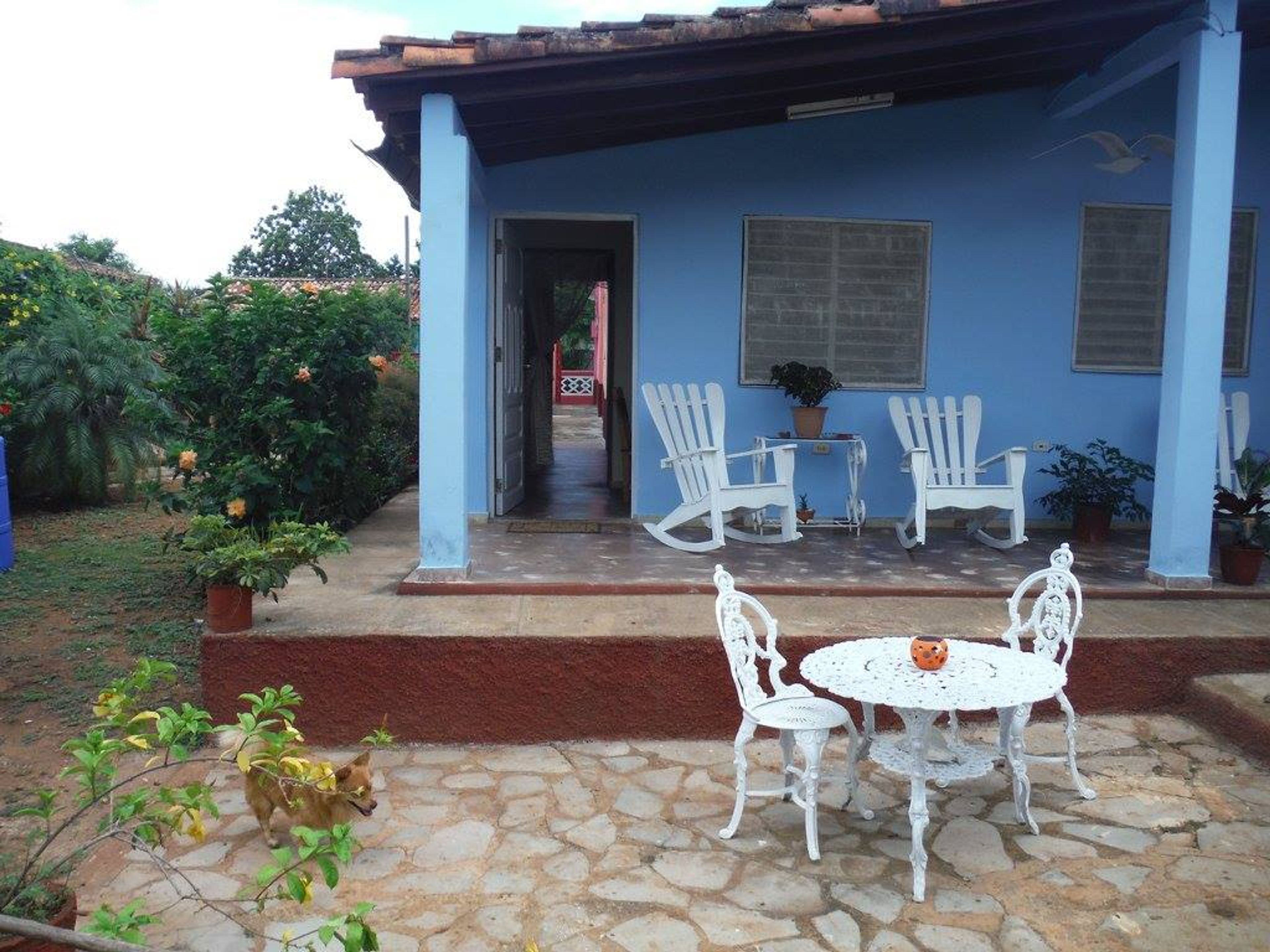 Casa Colonial Dany y Carlos, SALVADOR CISNEROS, No.50Terrace view