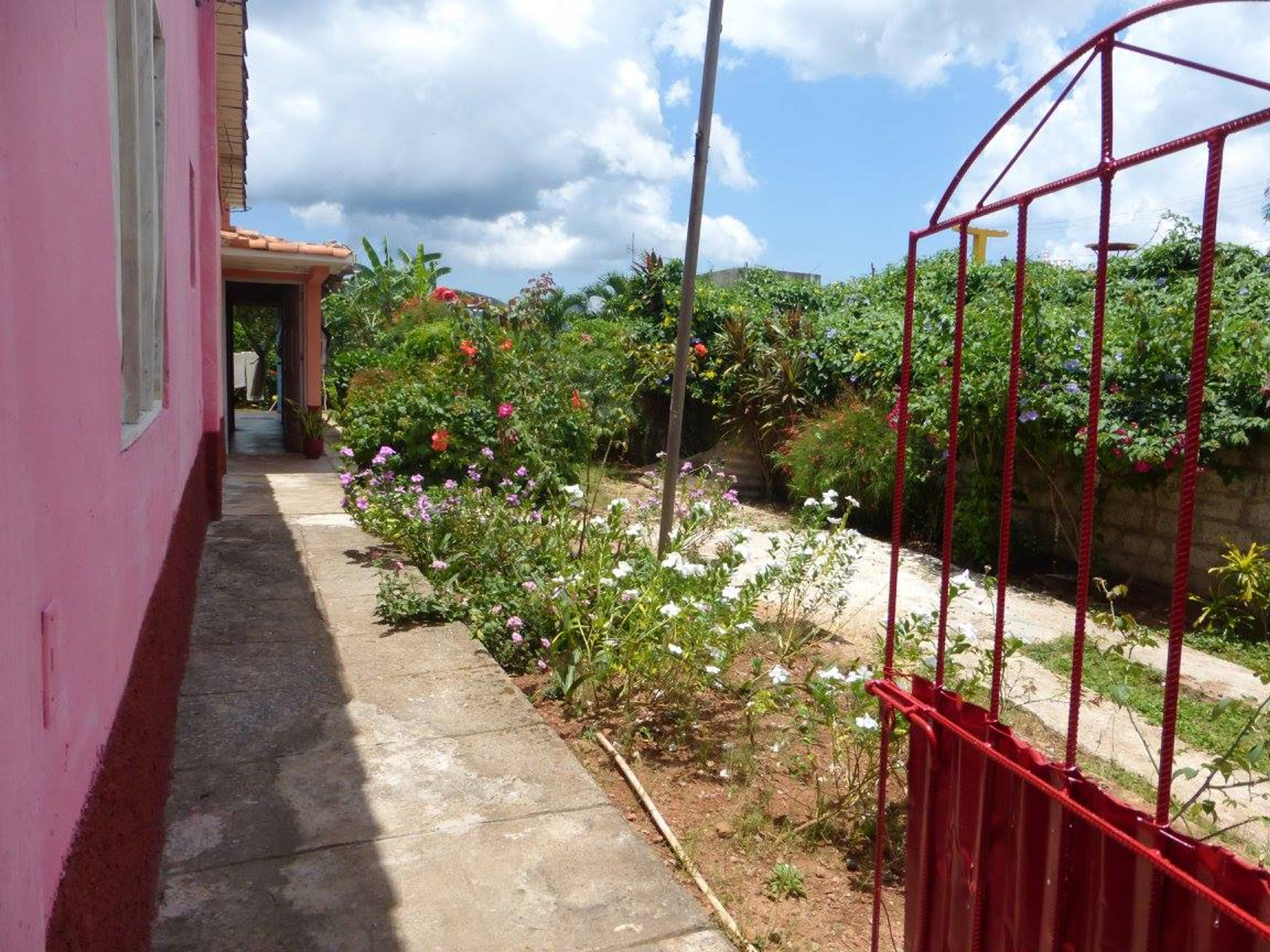 Casa Colonial Dany y Carlos, SALVADOR CISNEROS, No.50Outdoor areas