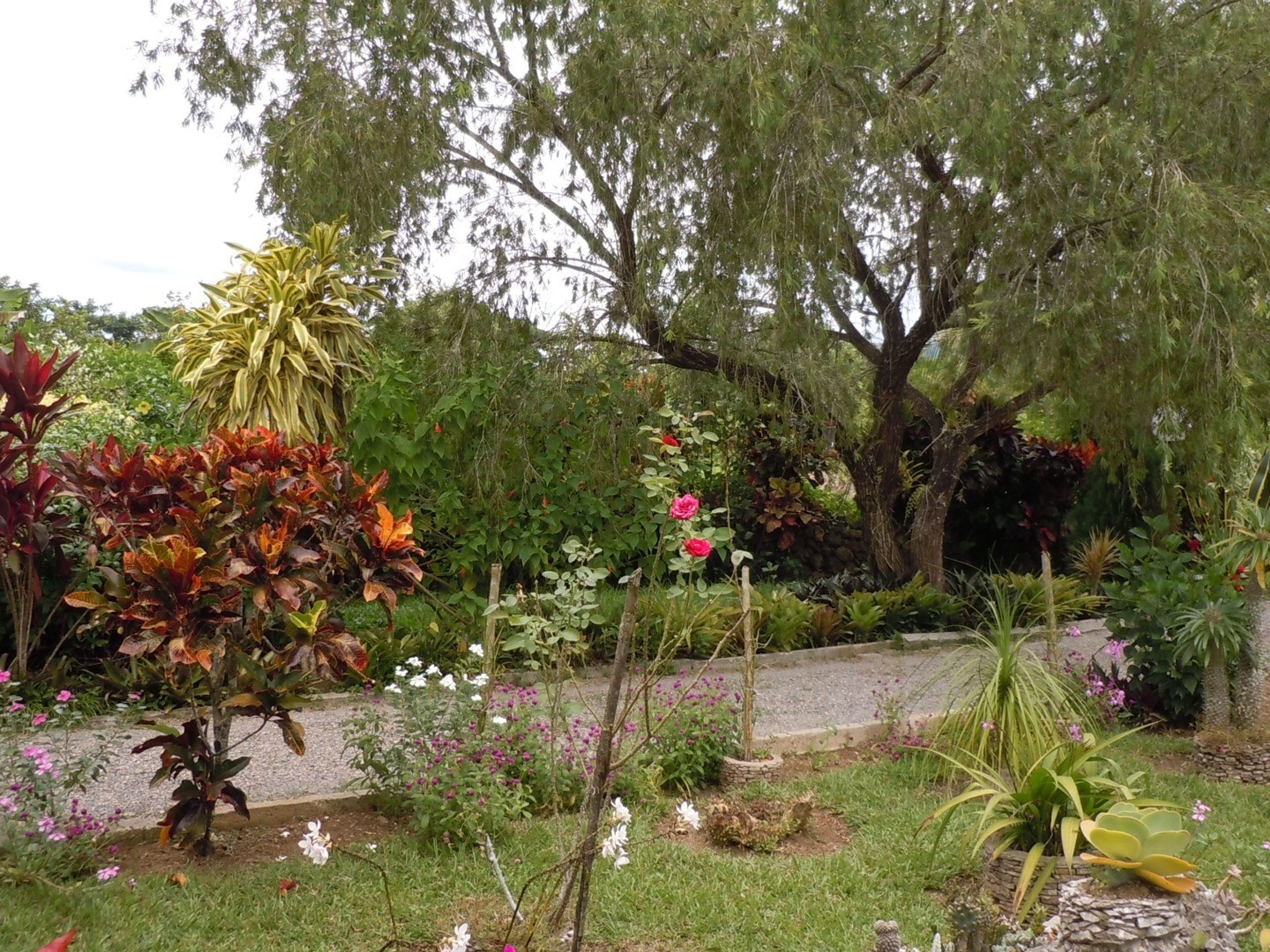 Дом Los Sauces, SOROAInside patio view