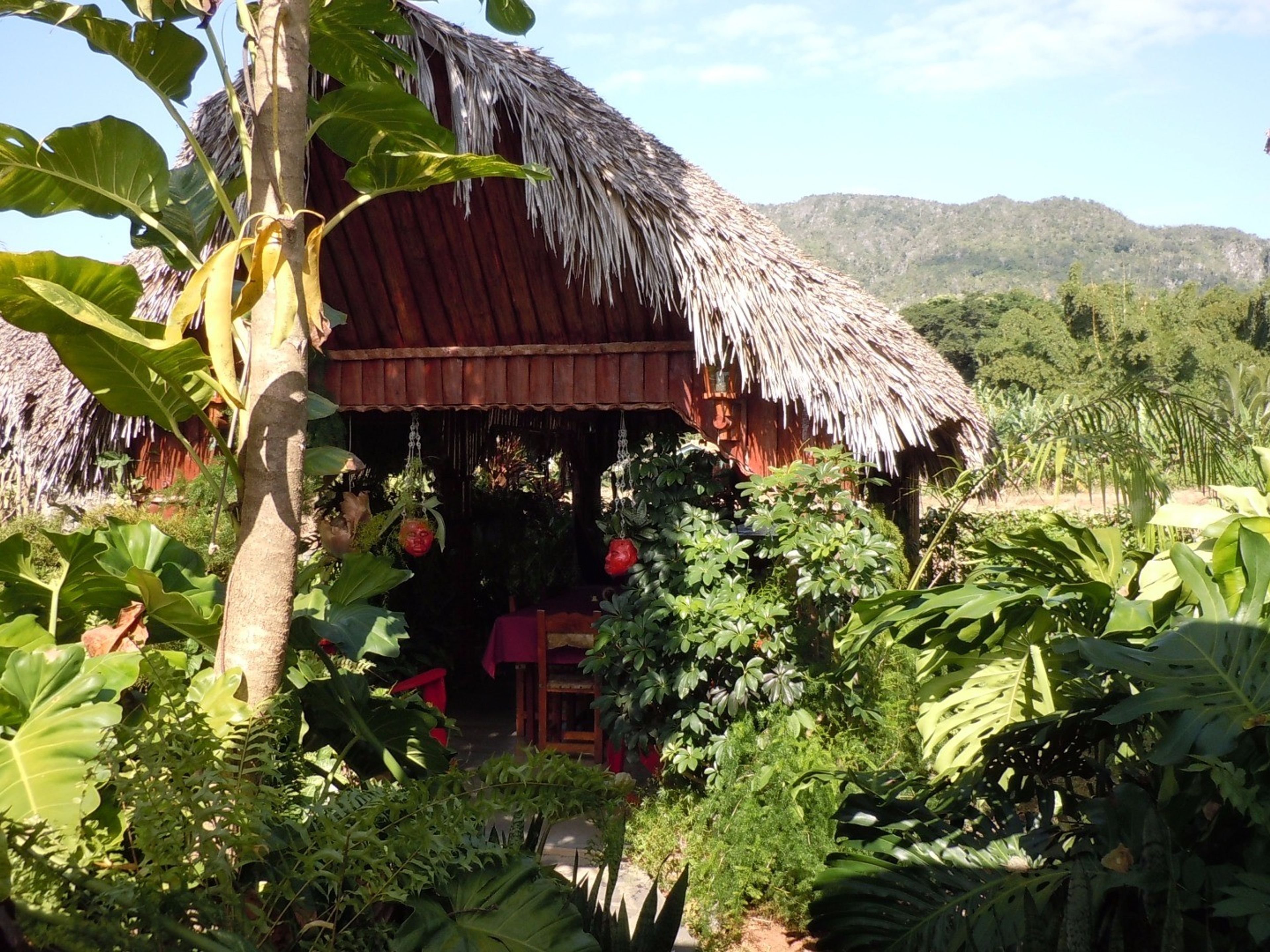 Villa El Isleño (Muñy), VIÑALES ROAD, Km 25 - Bar-restaurant view