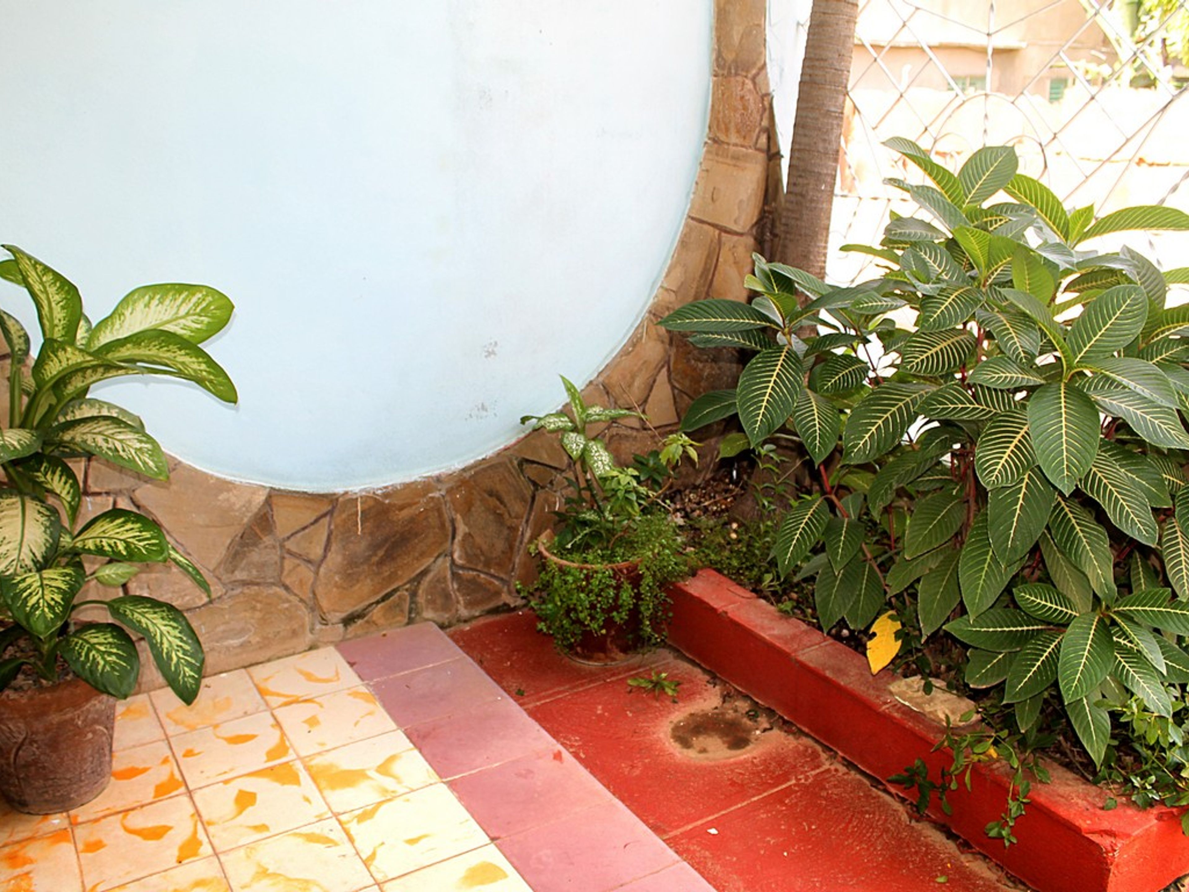 Hostal Misleidys y Gustavo, ANTONIO GUITERAS (Mercedes), No. 10House Entrance's Plants