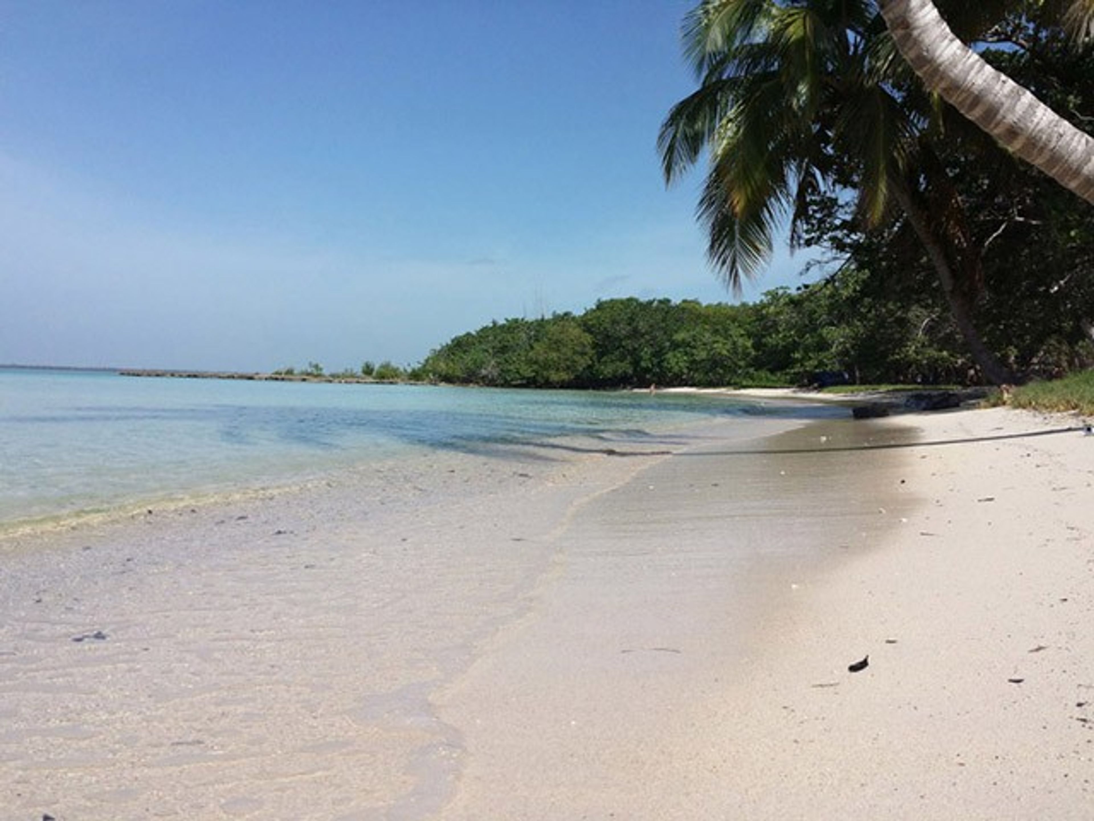 Casa Niña, MARIO LÓPEZ, Playa Larga - Playa Larga beach panoramic view