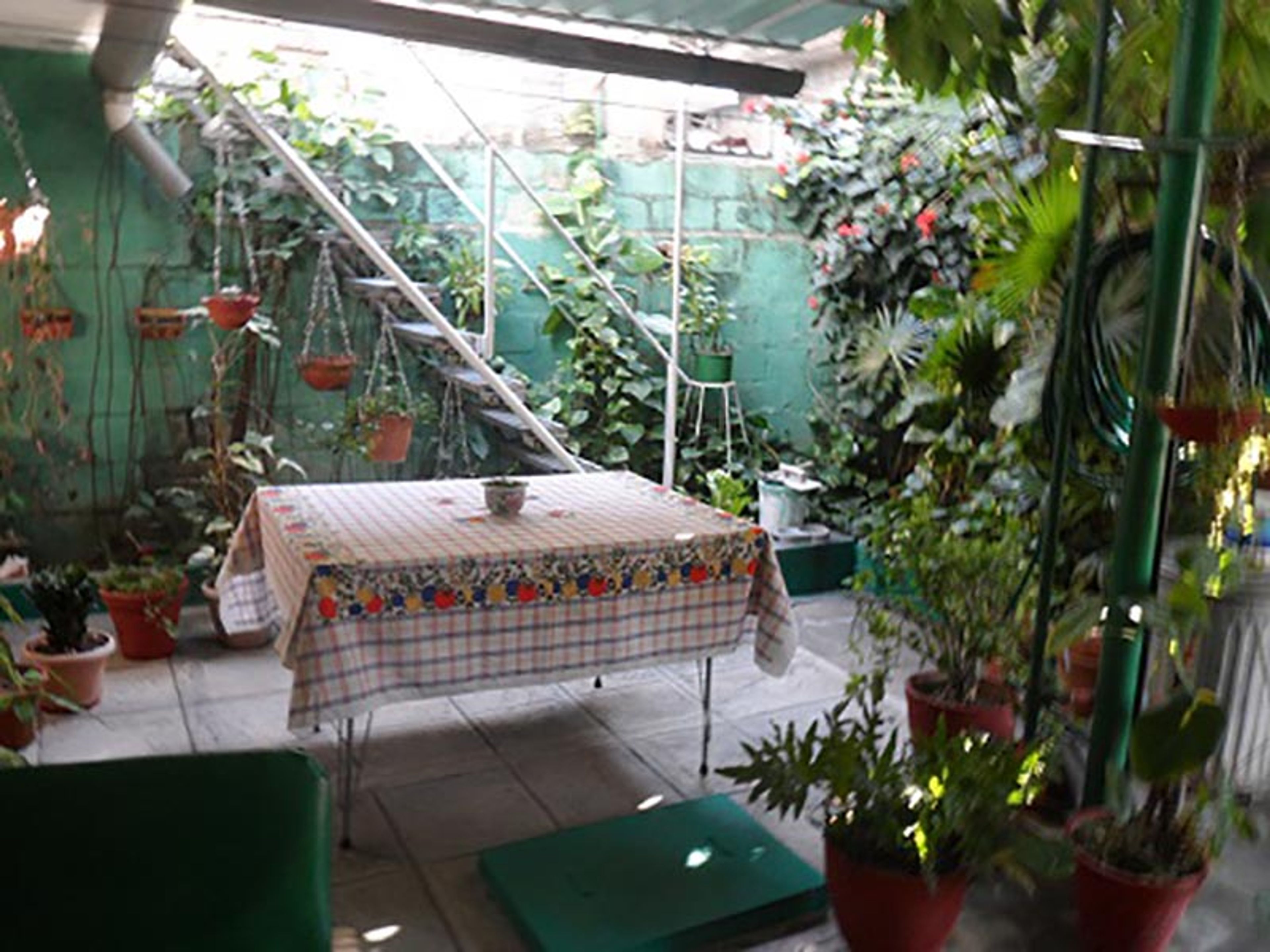 Hostal Green Day, CALLE 53, No. 232House's terrace view