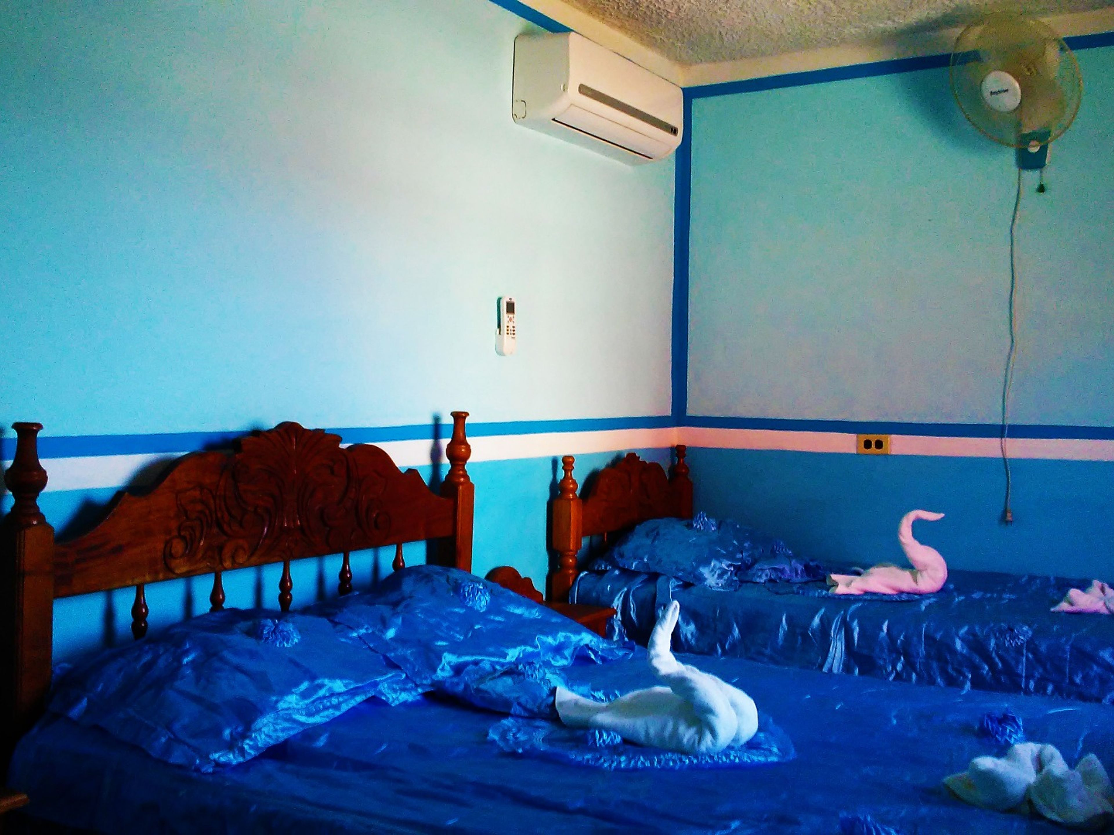 Hostal Mirakuru Gran Familia, CAMILO CIENFUEGOS (Santo Domingo), No. 180Standard room 1