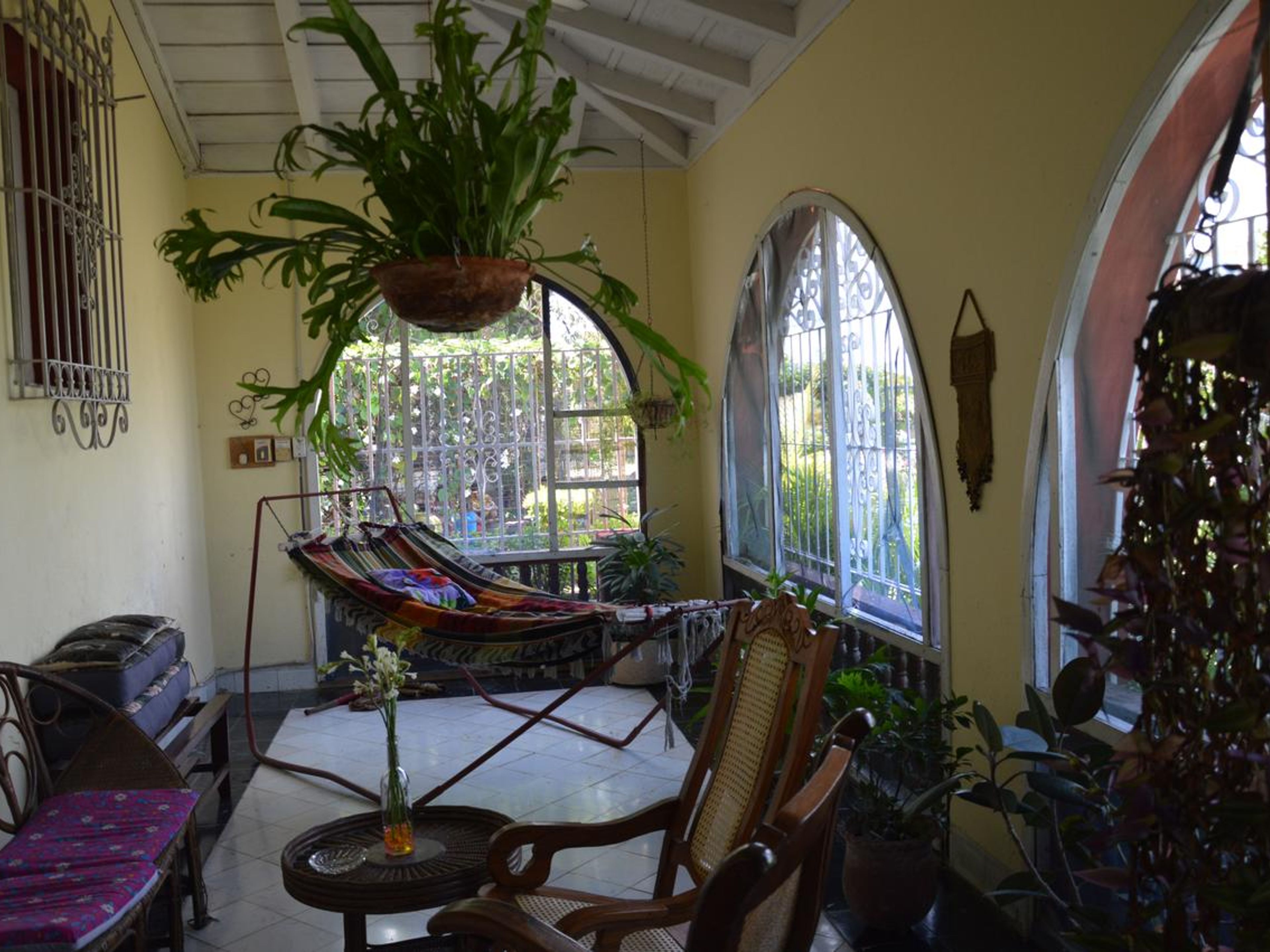 Hostal La Hiedra, CALLE 13, No.258 - Terrace´s details