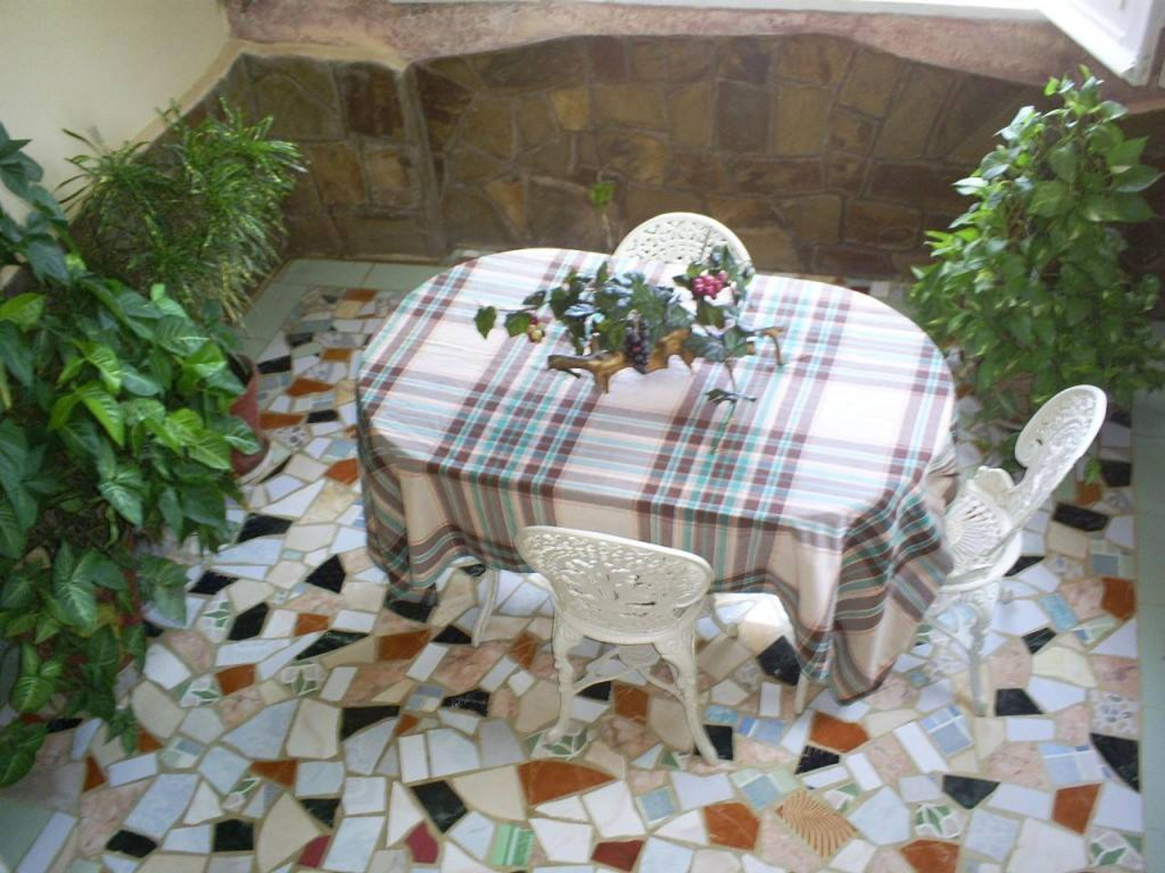 Hostal Marisol, PABLO PITCH (Guarabo), No. 251House´s terrace details