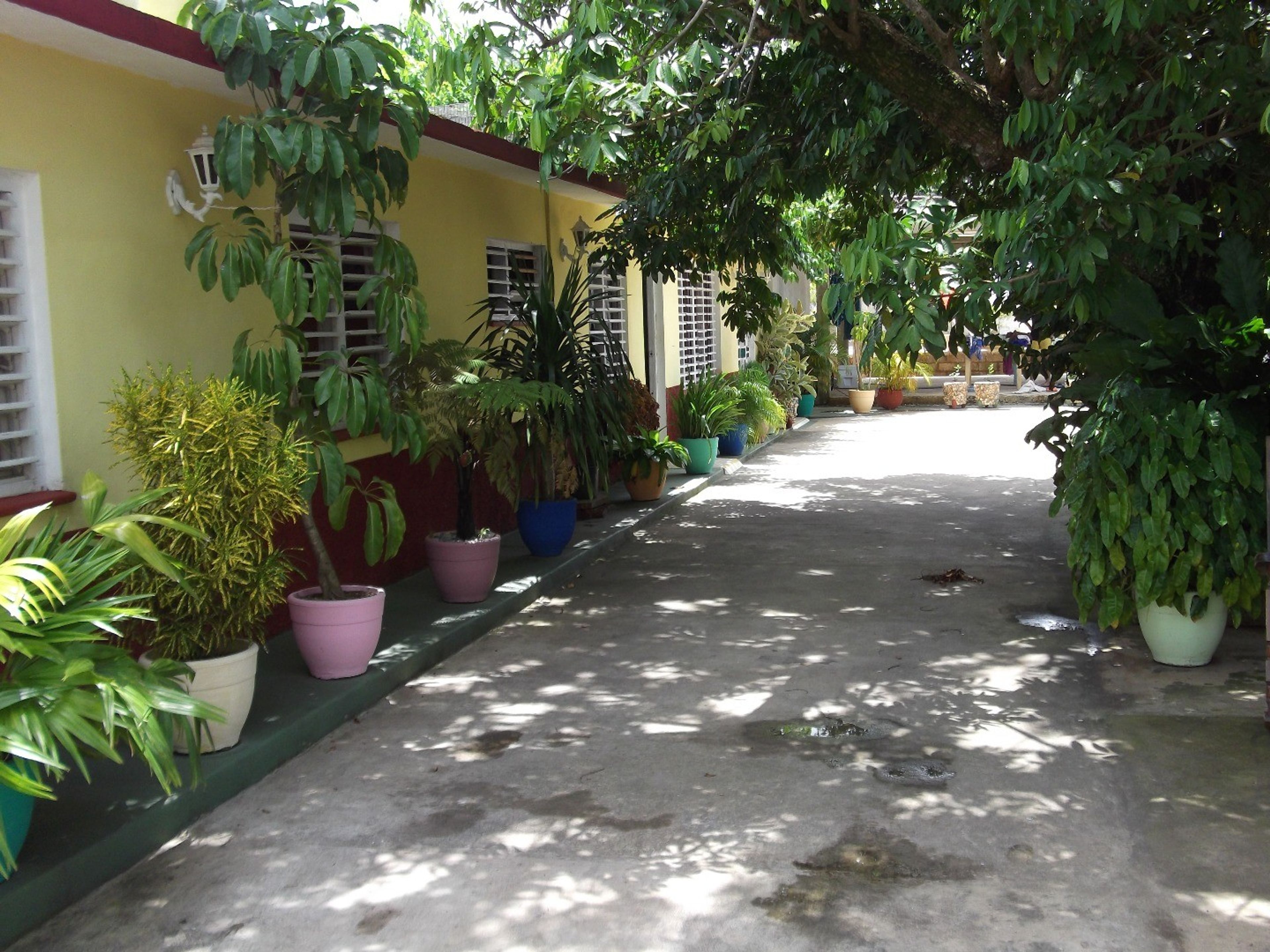 Daniela House, RAFAEL TREJO, No. 161 - Inside patio view