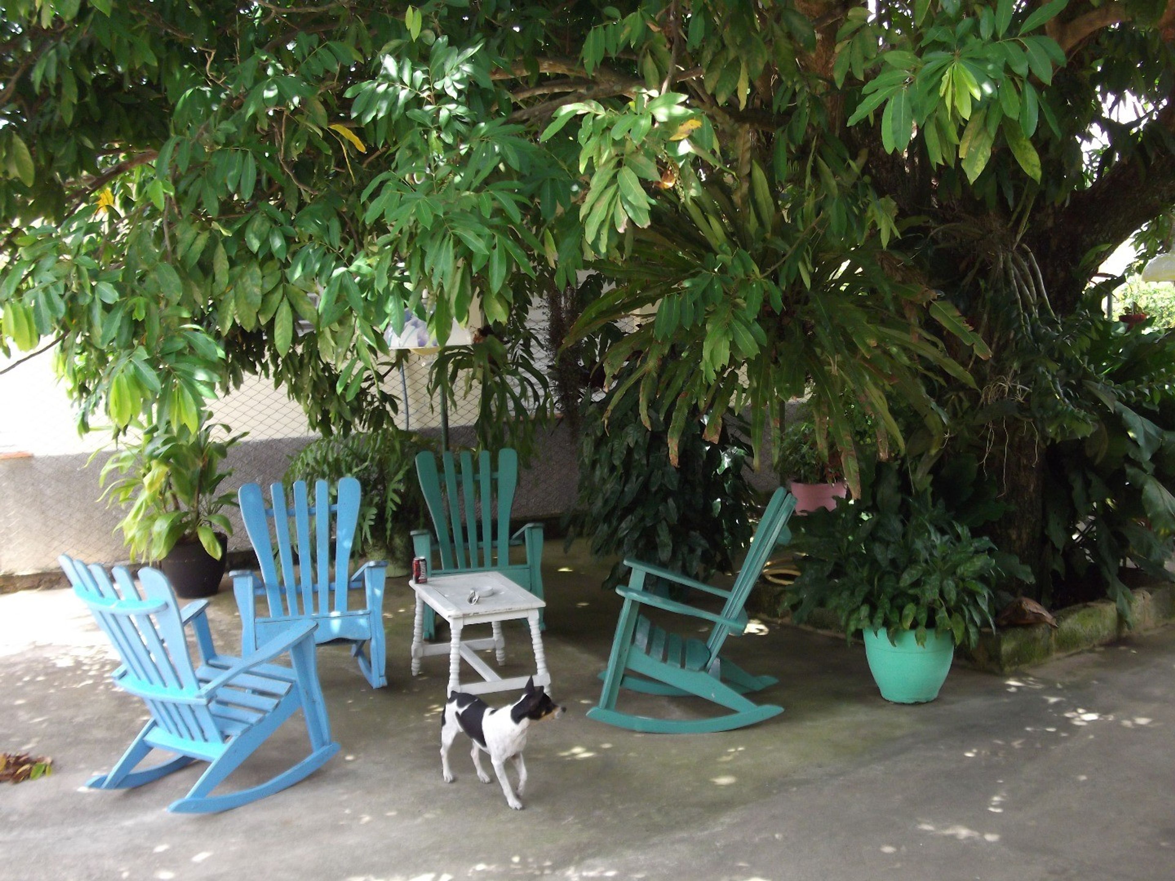 Daniela House, RAFAEL TREJO, No. 161 - Inside patio view