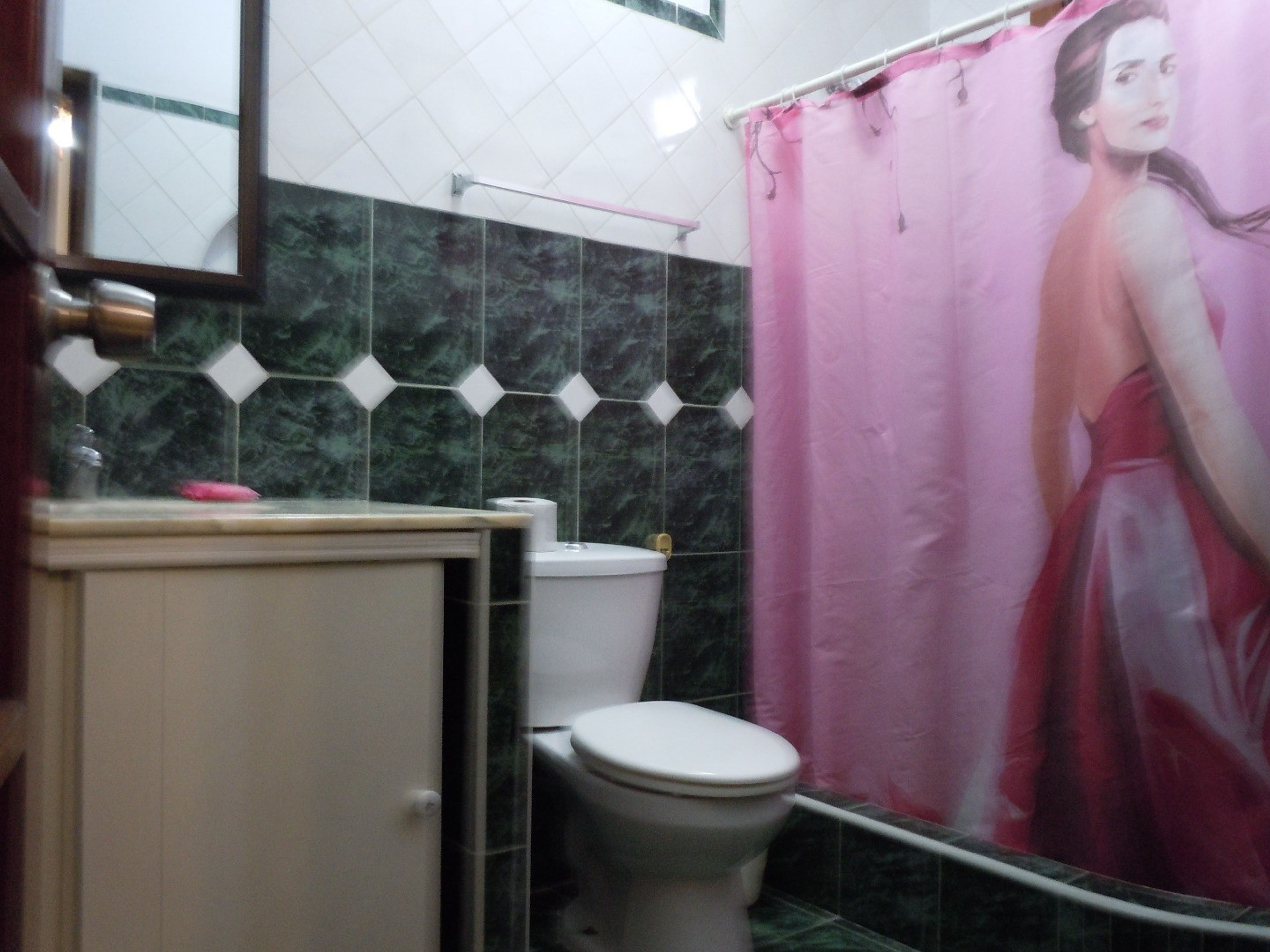 Дом Luis Room's, CALLE F, No. 510Bathroom's view