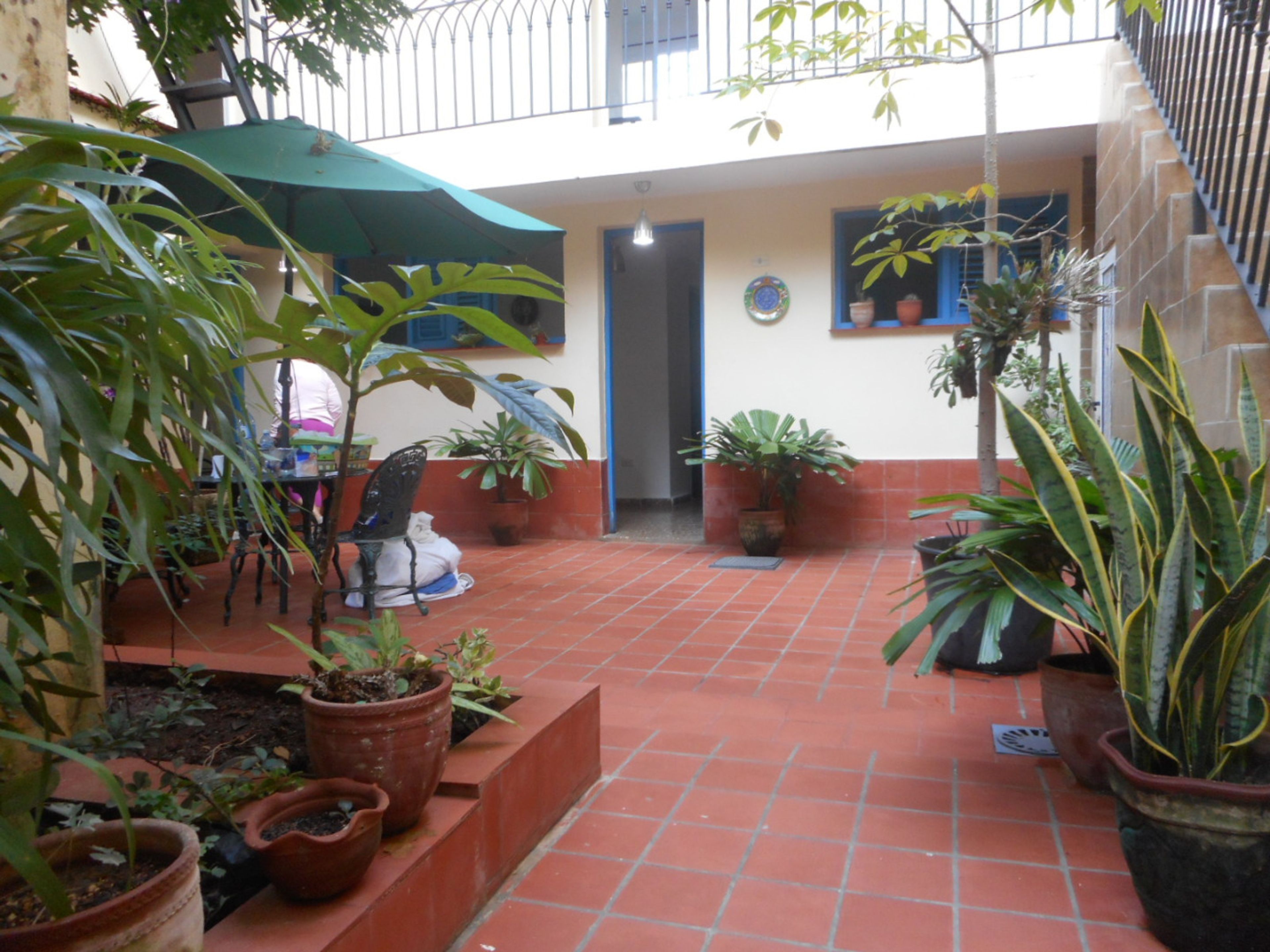 Aparthotel Boutique Kiat-1, HABANA, No. 155.House's indoor patio-garden view