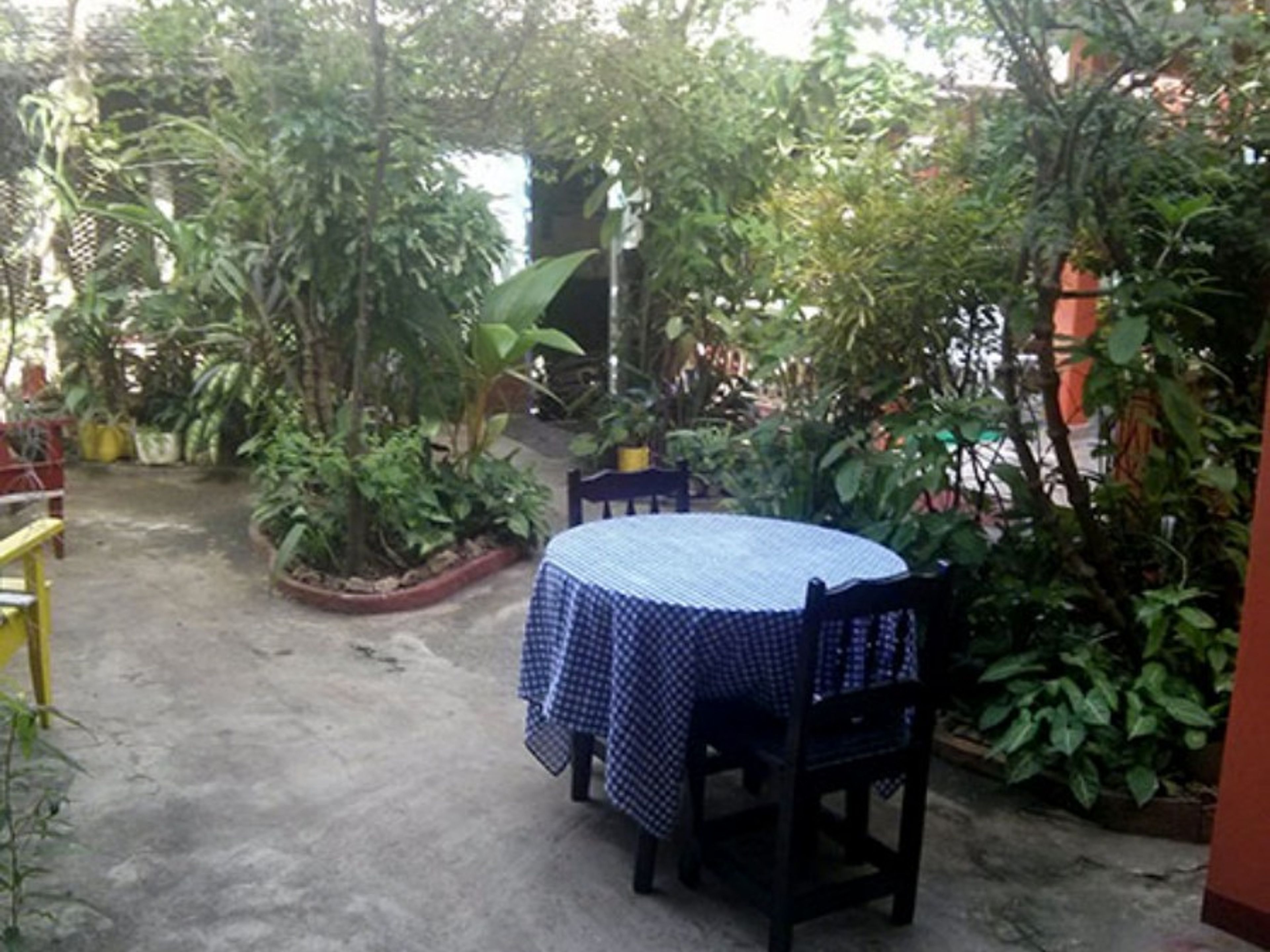 Hostal Casa Grande, MARTÍ, No. 81Inside patio view