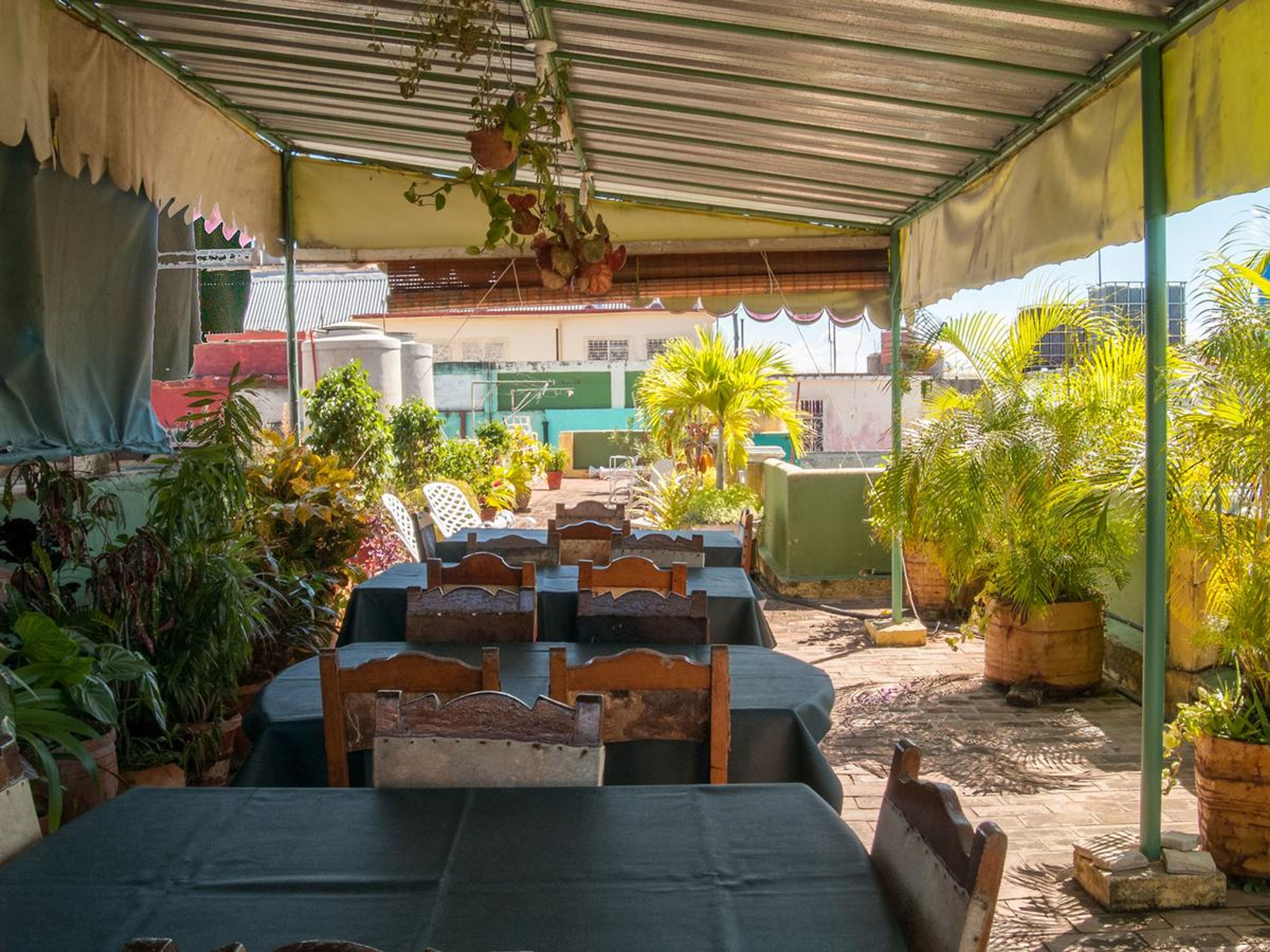 Casa de las Golondrinas, CALLE 39, No. 5818 - House´s terrace view