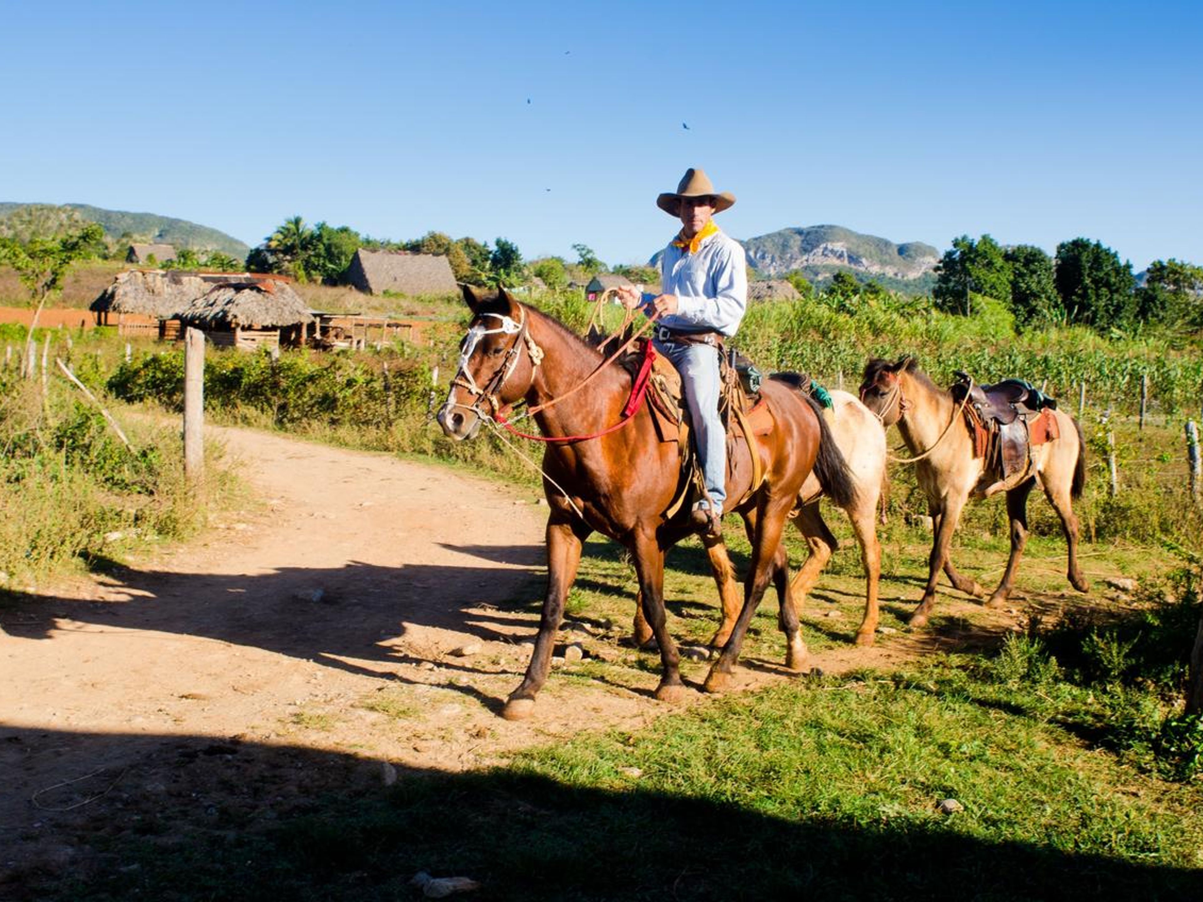 Casa Marisol, VIÑALES, Km 1Details of horseback riding