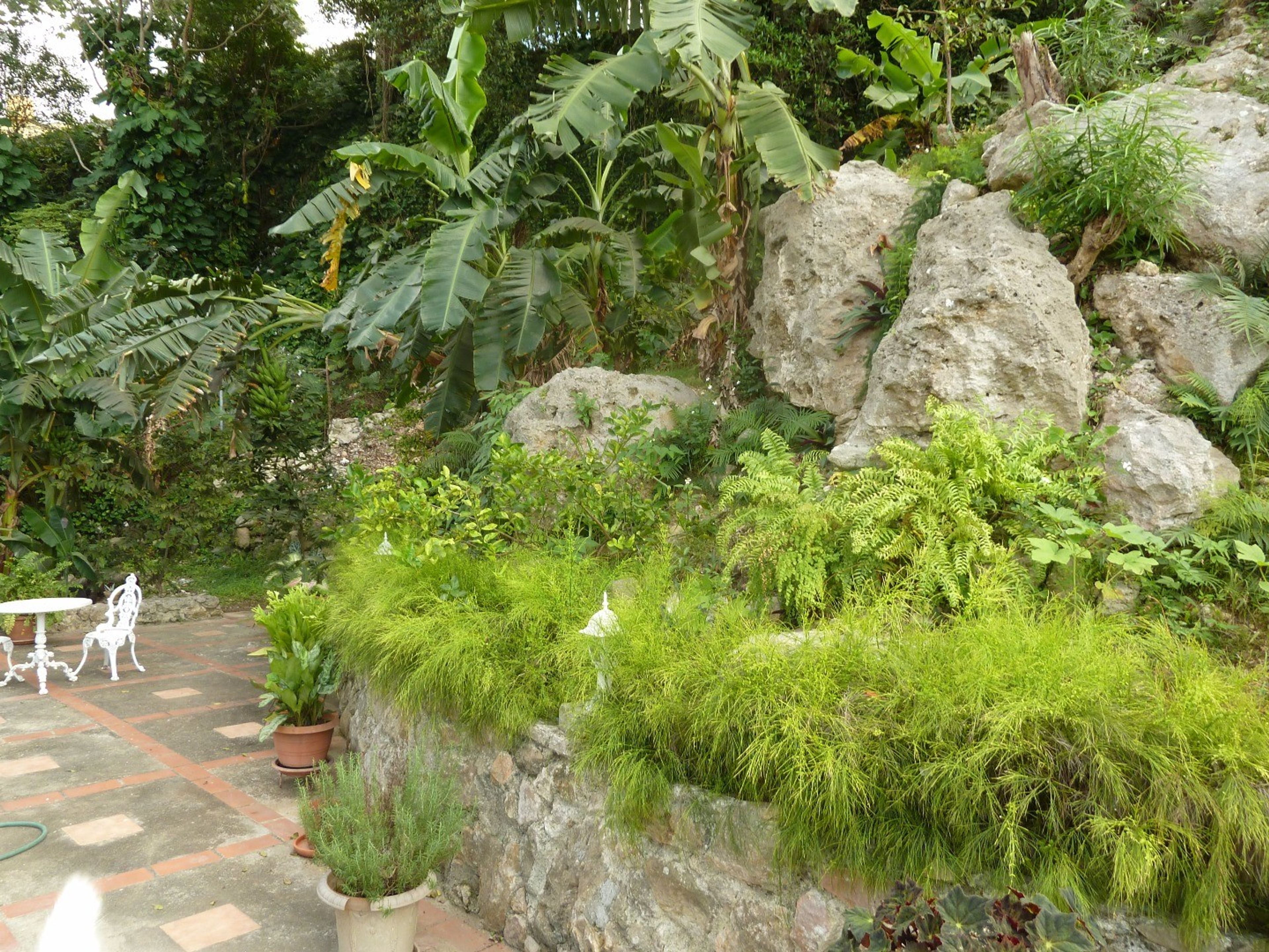 Casa Mary, CALLE 30, No. 663House's patio details