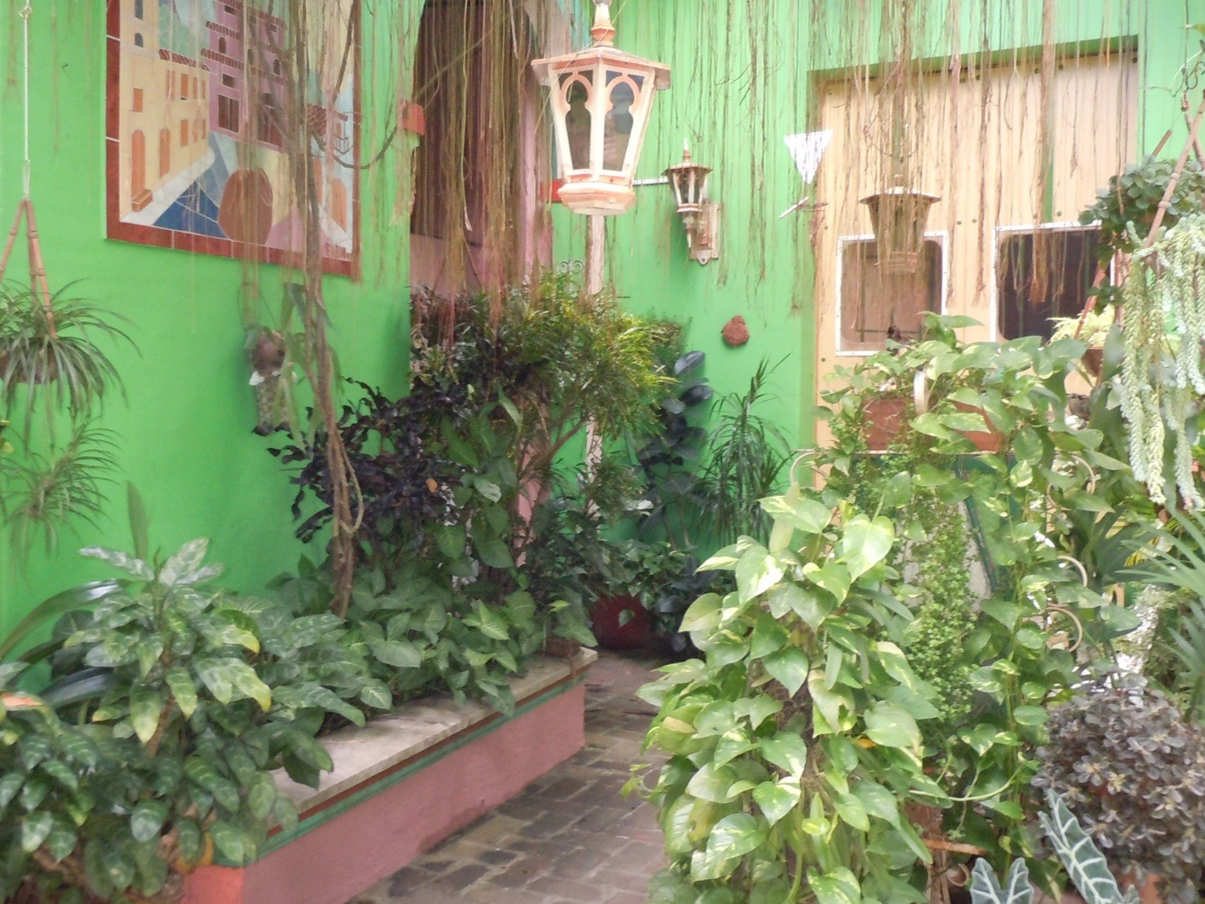 Los Vitrales, AVELLANEDA No. 3Indoor patio-garden view