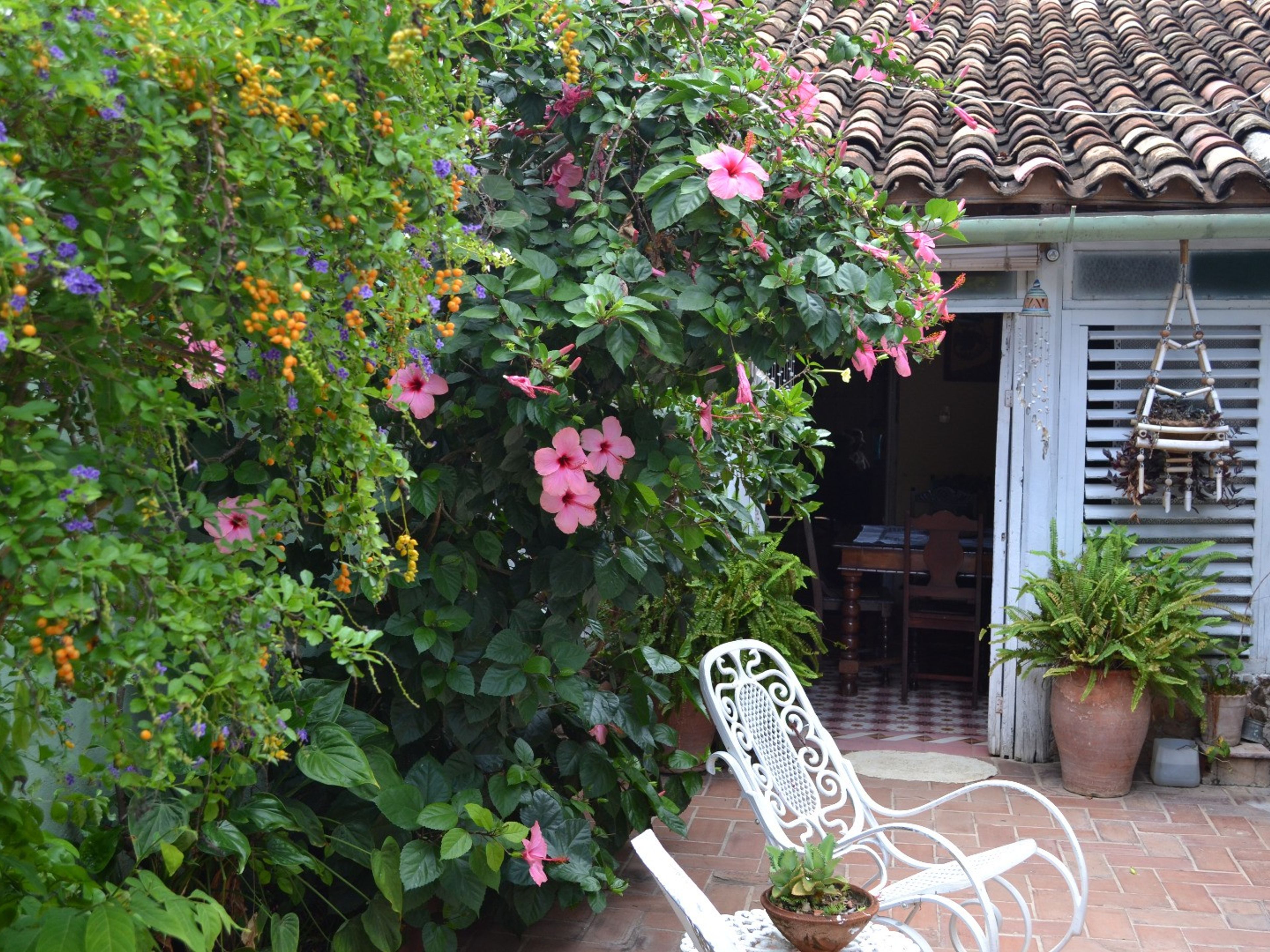 Casa Carmen Font Zerquera, SIMÓN BOLIVAR (Desengaño), No, 506 - Inside patio view