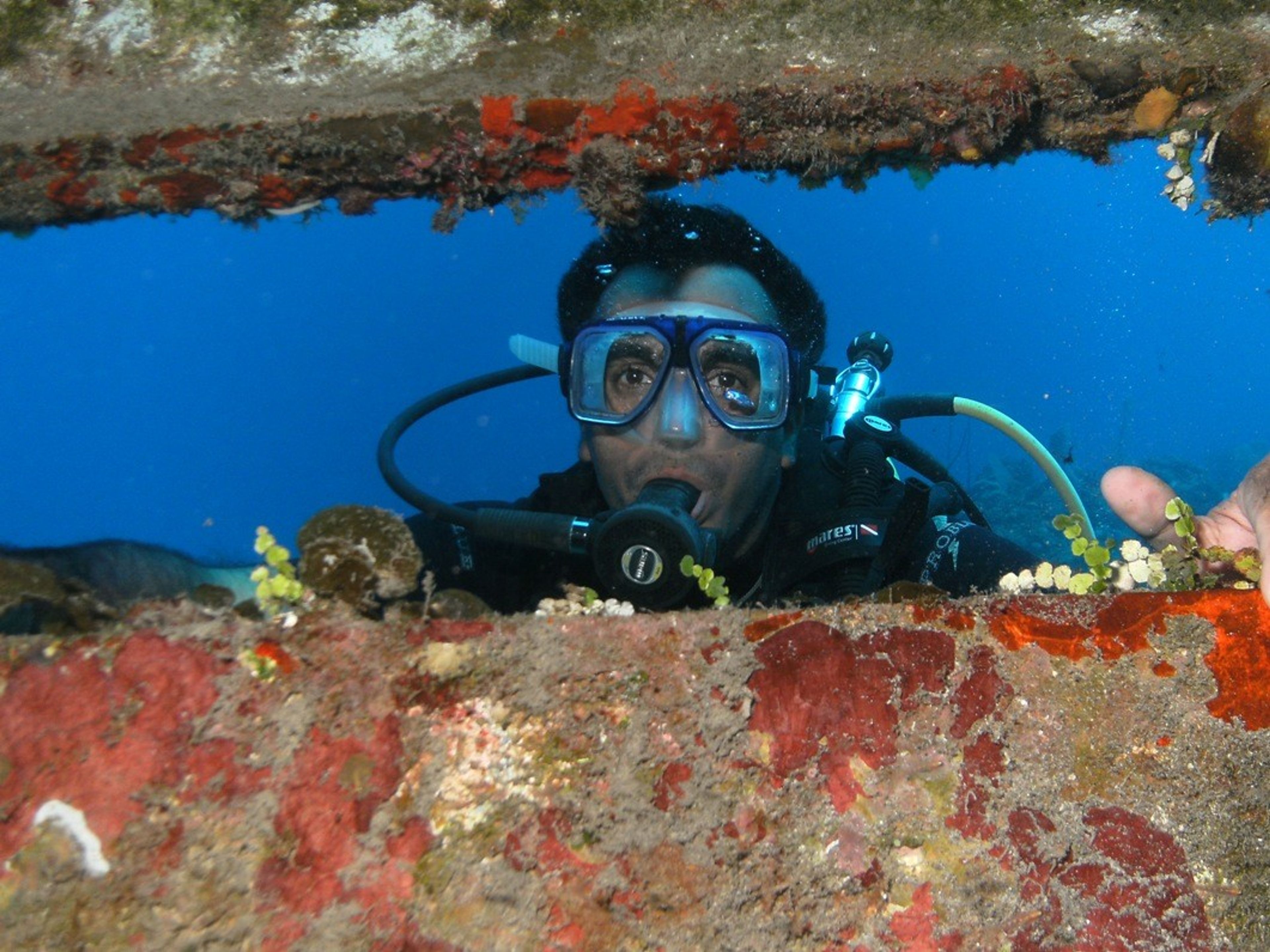 Casa Ivette and Ronel I, PLAYA GIRÓNScuba diving tour in Bahía de Cochinos, Matanzas