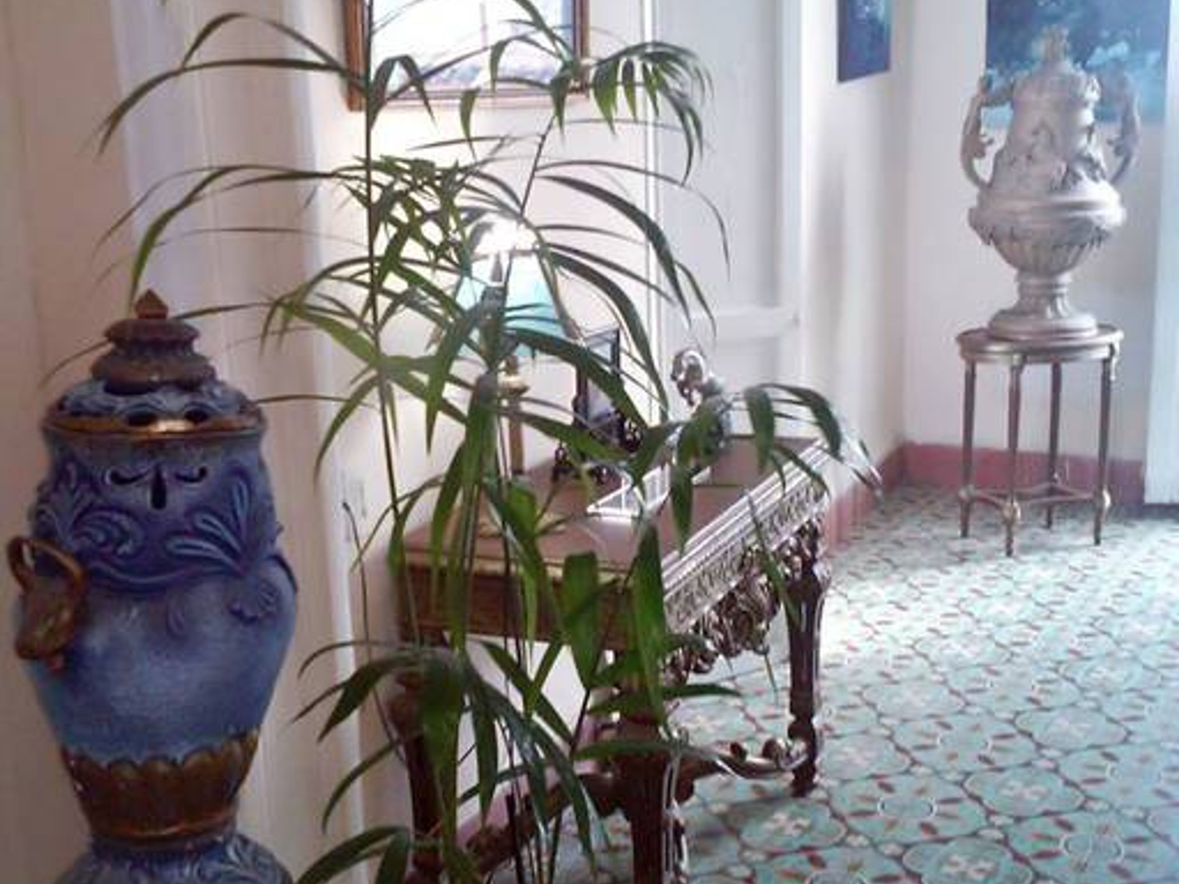 Hostal Lolita, PLACIDO, No. 65Living room details