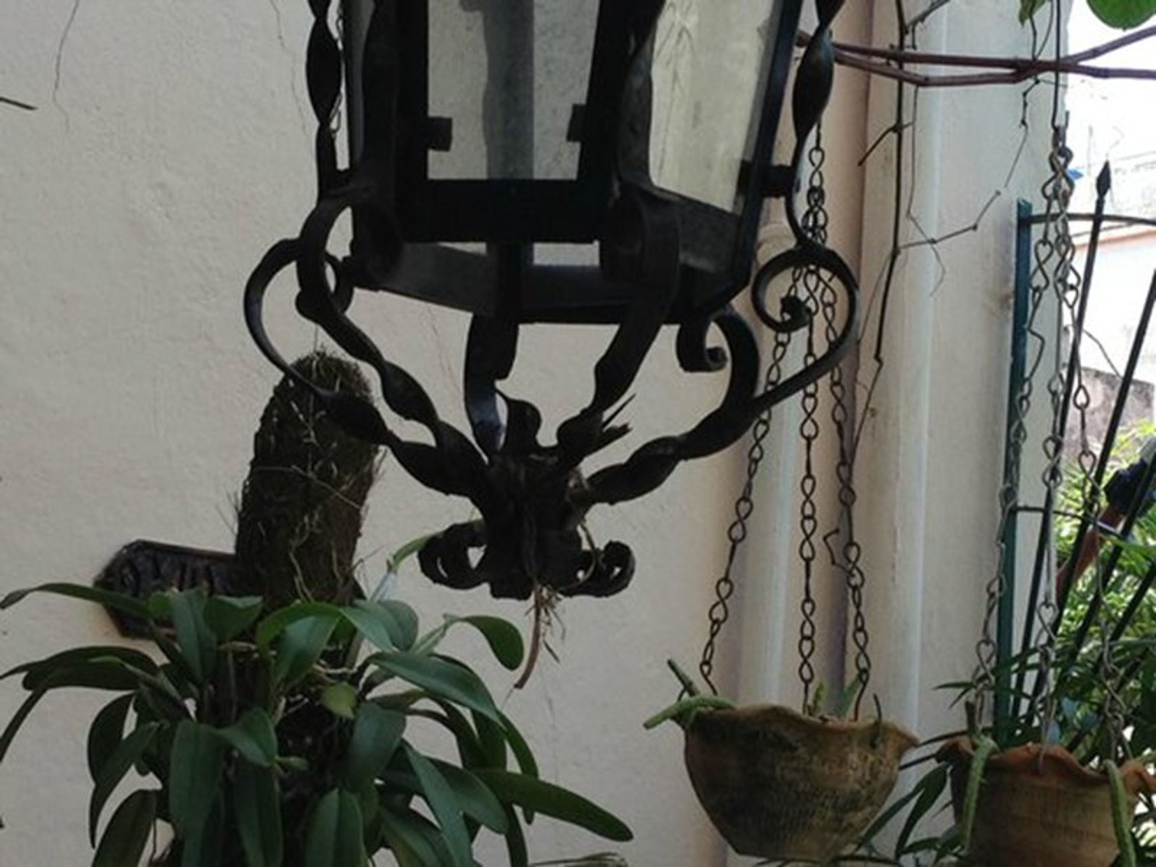 Дом Guillermina y Roberto, CALLE 23, No. 668House's details
