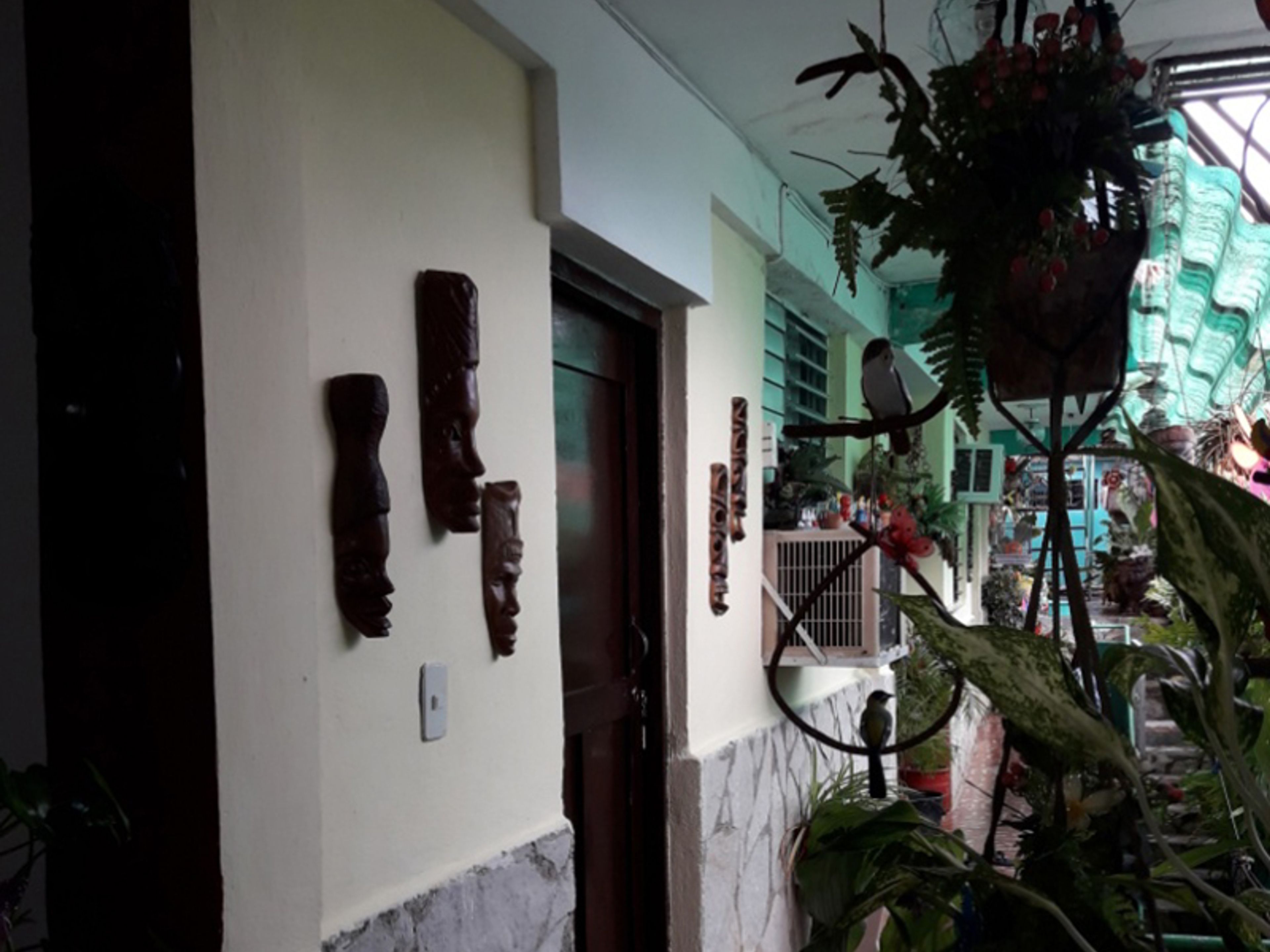 Green Home, SAN FELIX, No. 313 - House view
