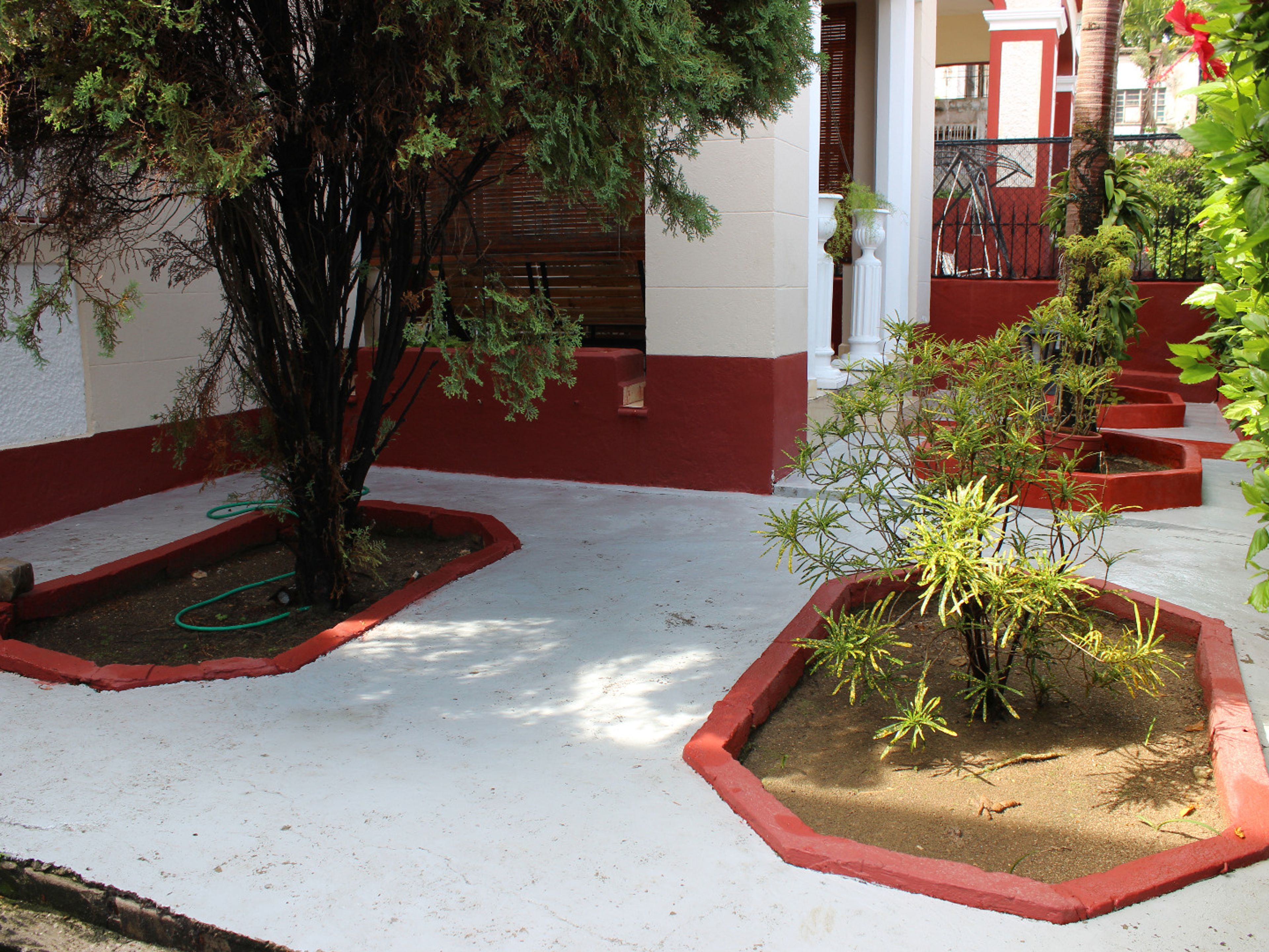 Номера Мануэля и Аниа, CALLE 11 No. 107House's garden view