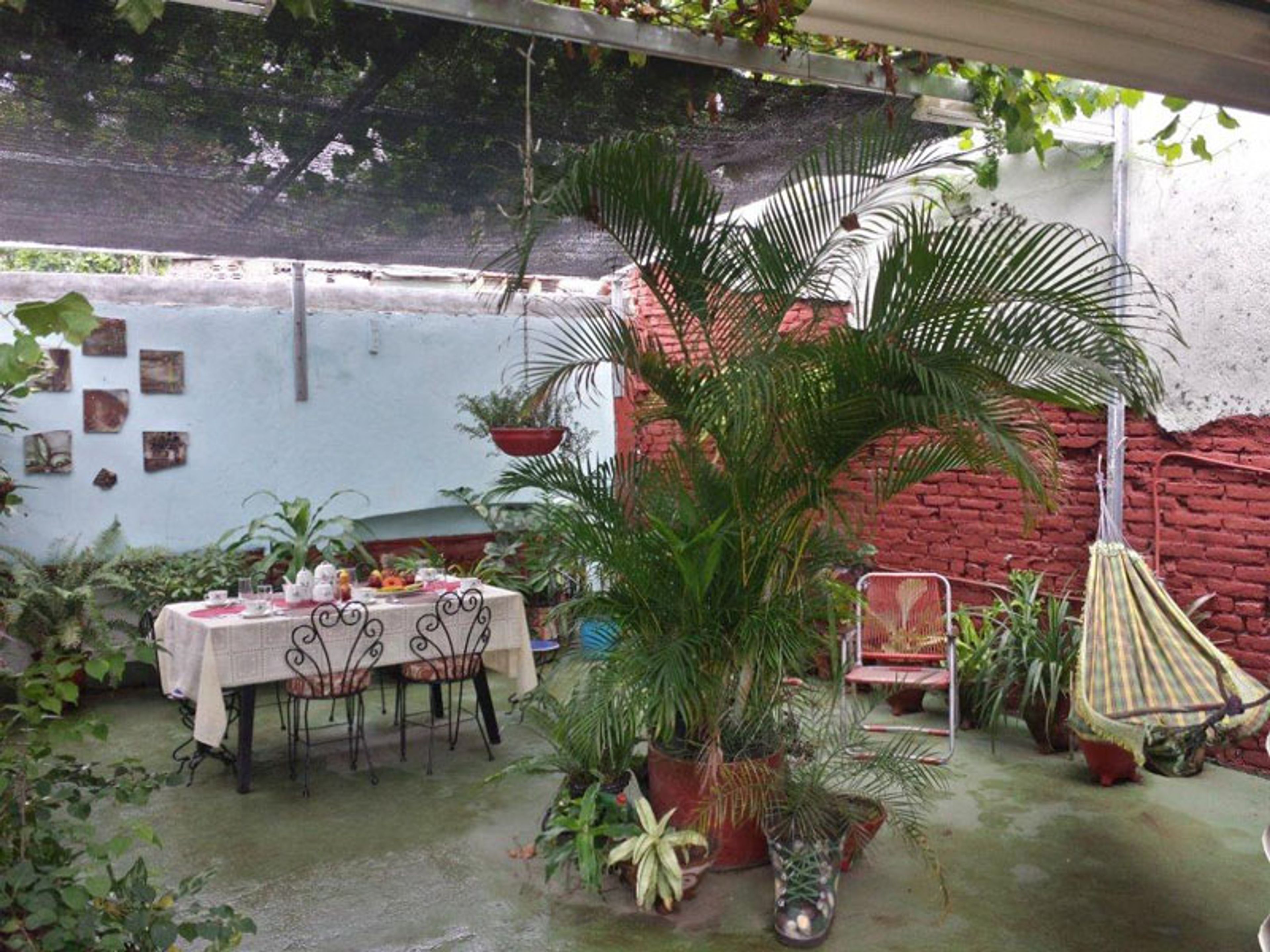 Fernandez Room Rentals, CORONA, No 312 - House´s patio view