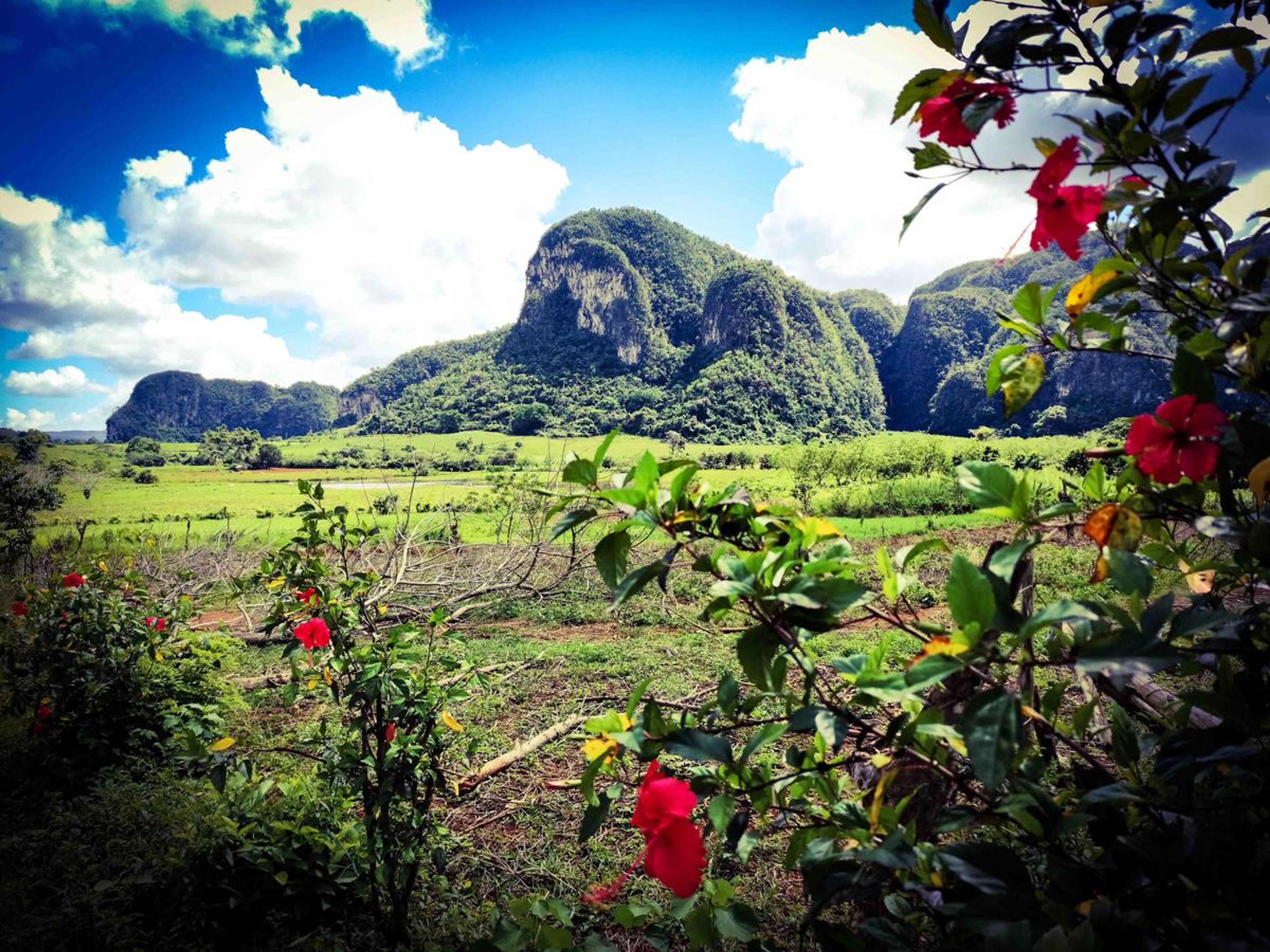 Casa El Músico Jorge y Betty, SALVADOR CISNERO - Viñales valley panoramic view