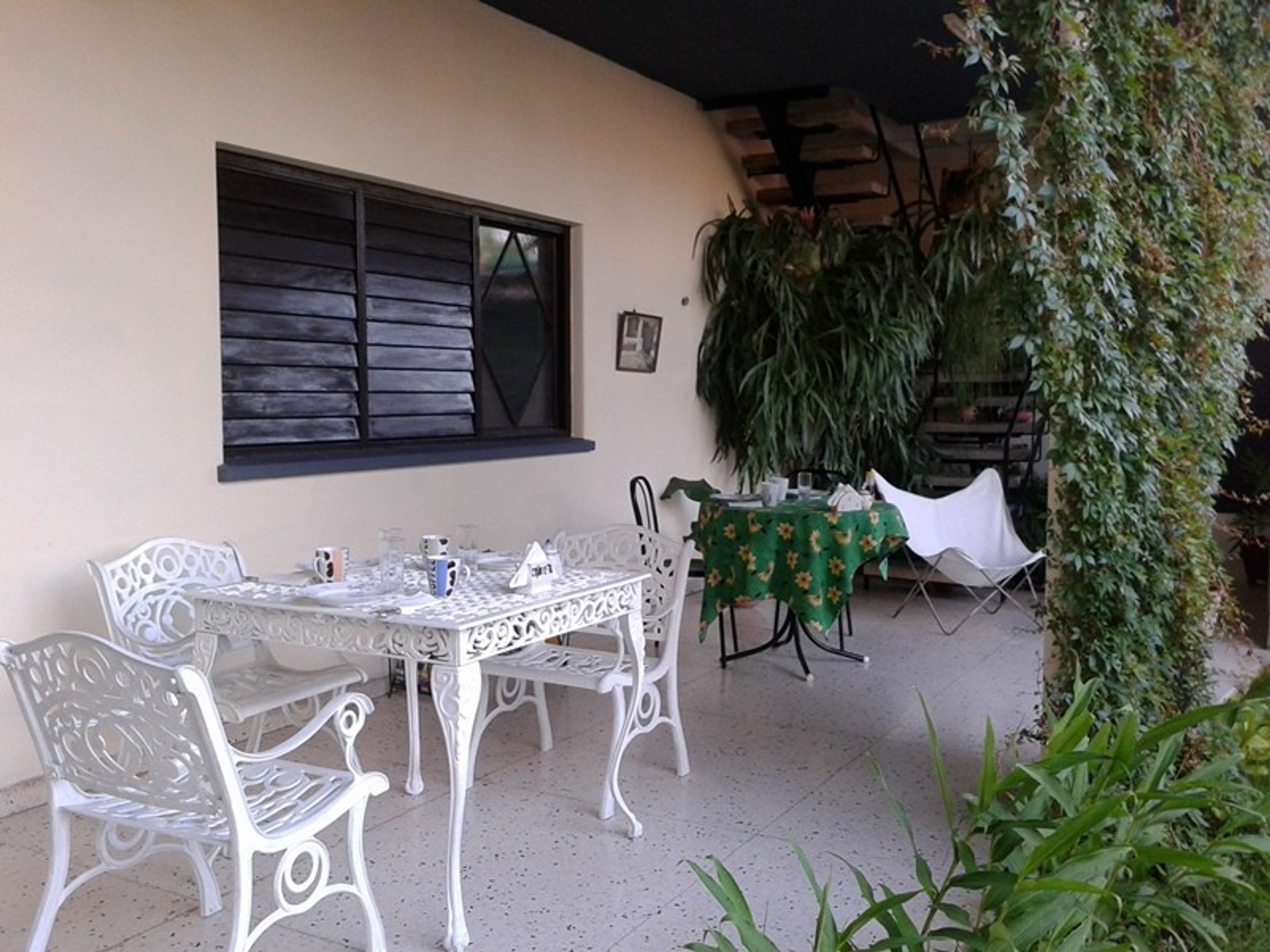 Hostal Rocola Club, FINLAY, No. 462 - House's terrace view