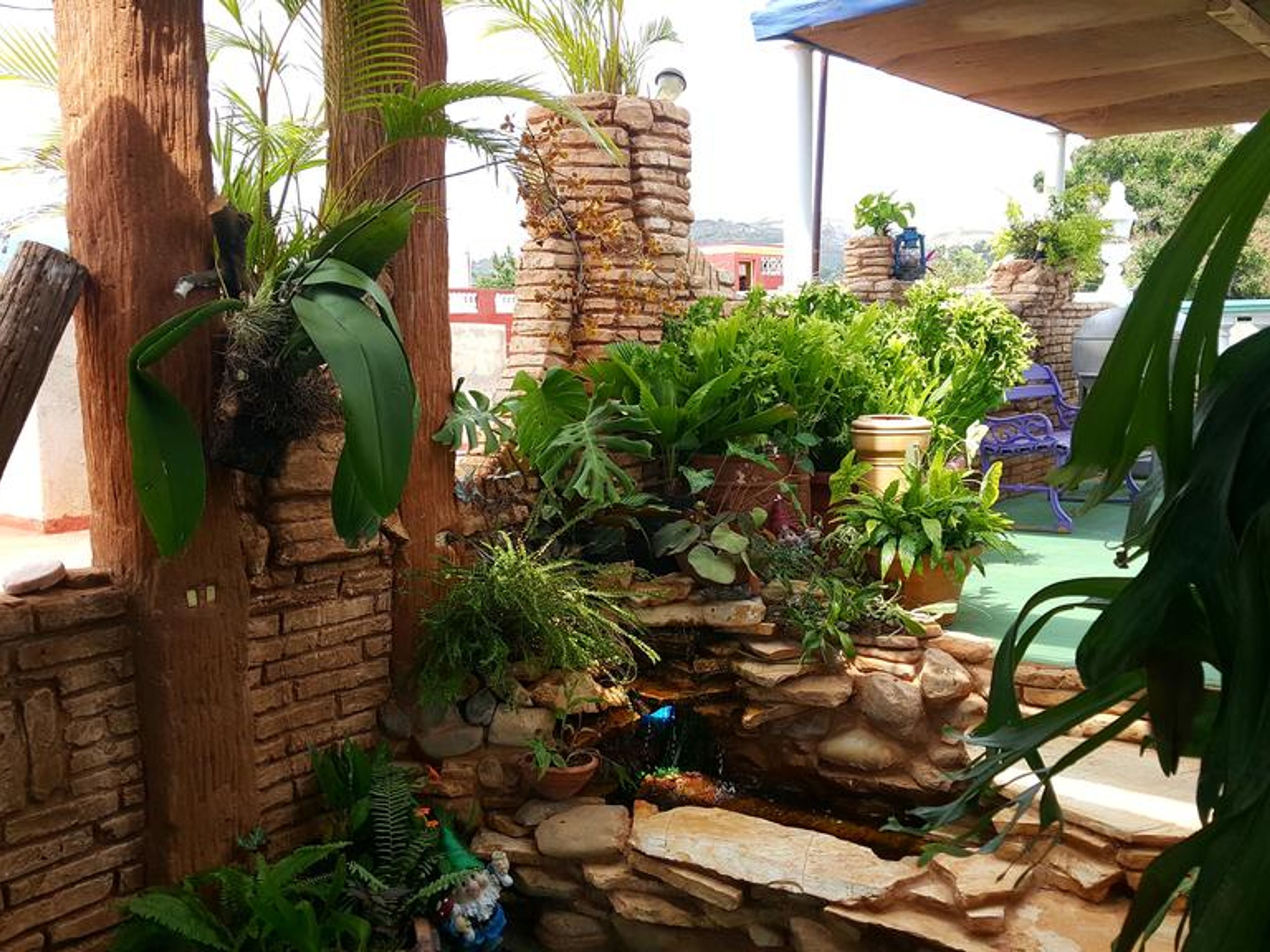 Hostal Casa La Milagrosa, MIGUEL CALZADA, No. 55House´s patio view