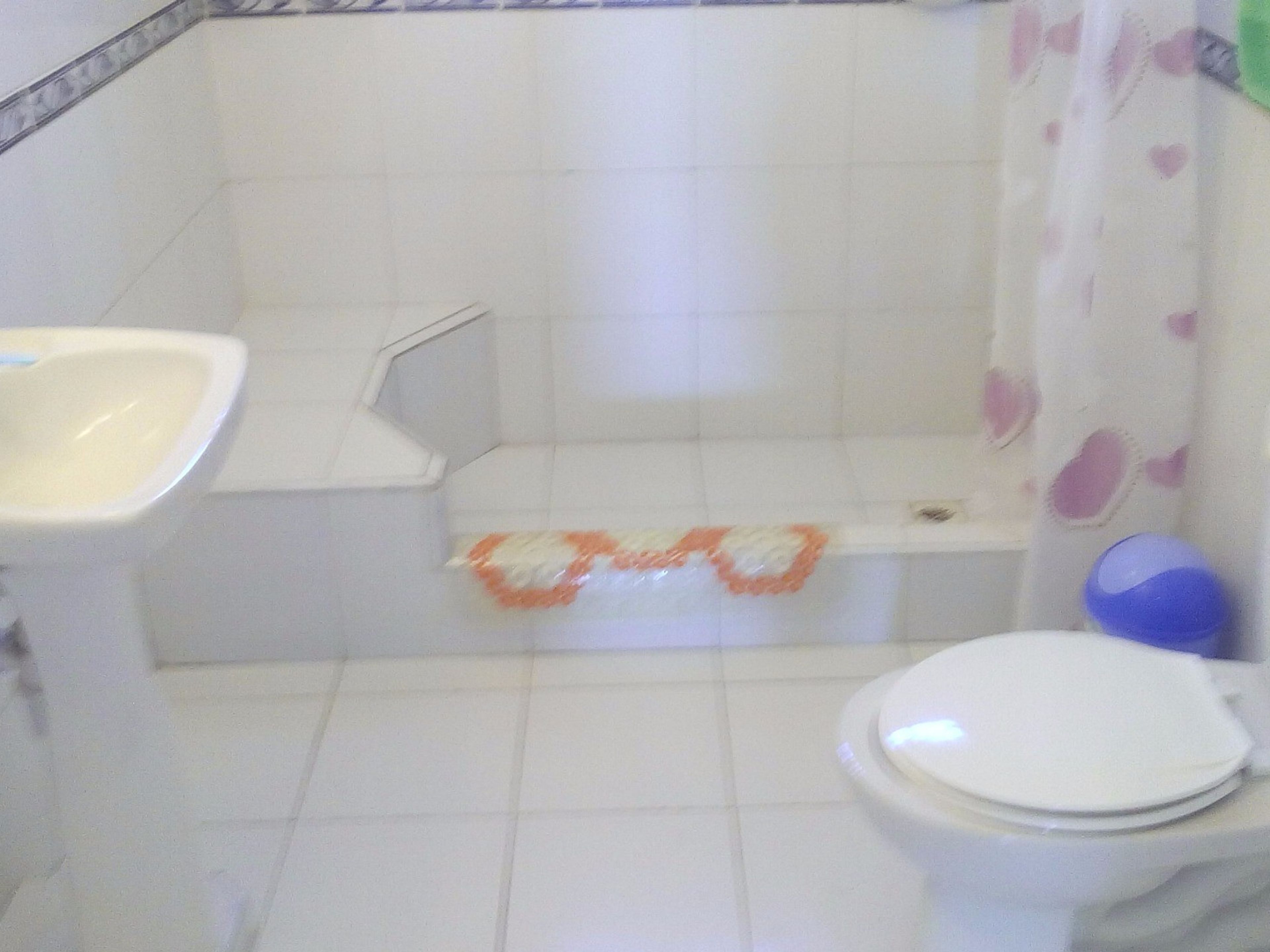 Casa de Roberto, CALLE 2da, No. 19208Bathroom's view