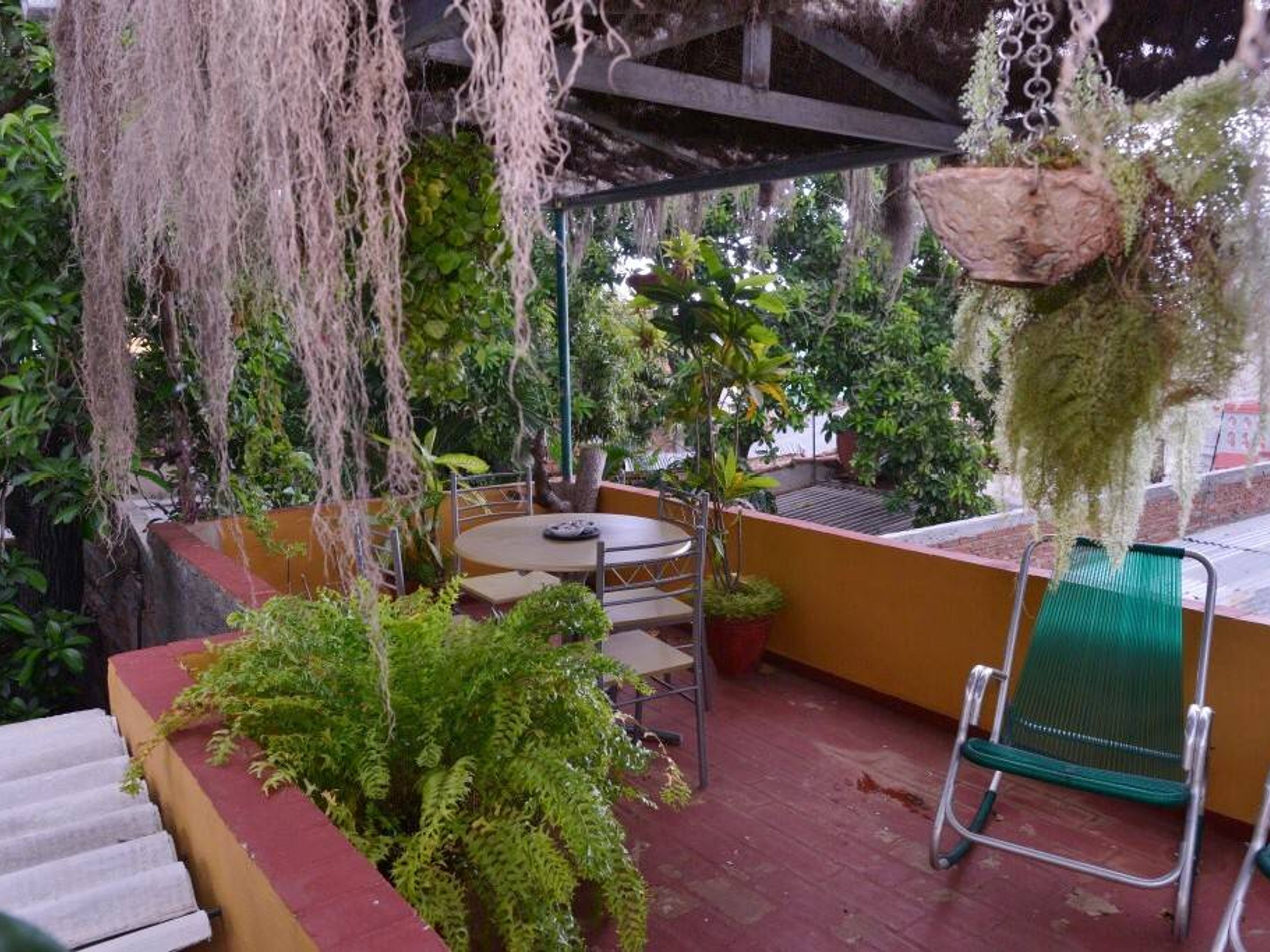Casa La Terraza de Yanet, ANGUSTIA (Jesús Betancourt), No. 109House´s terrace details