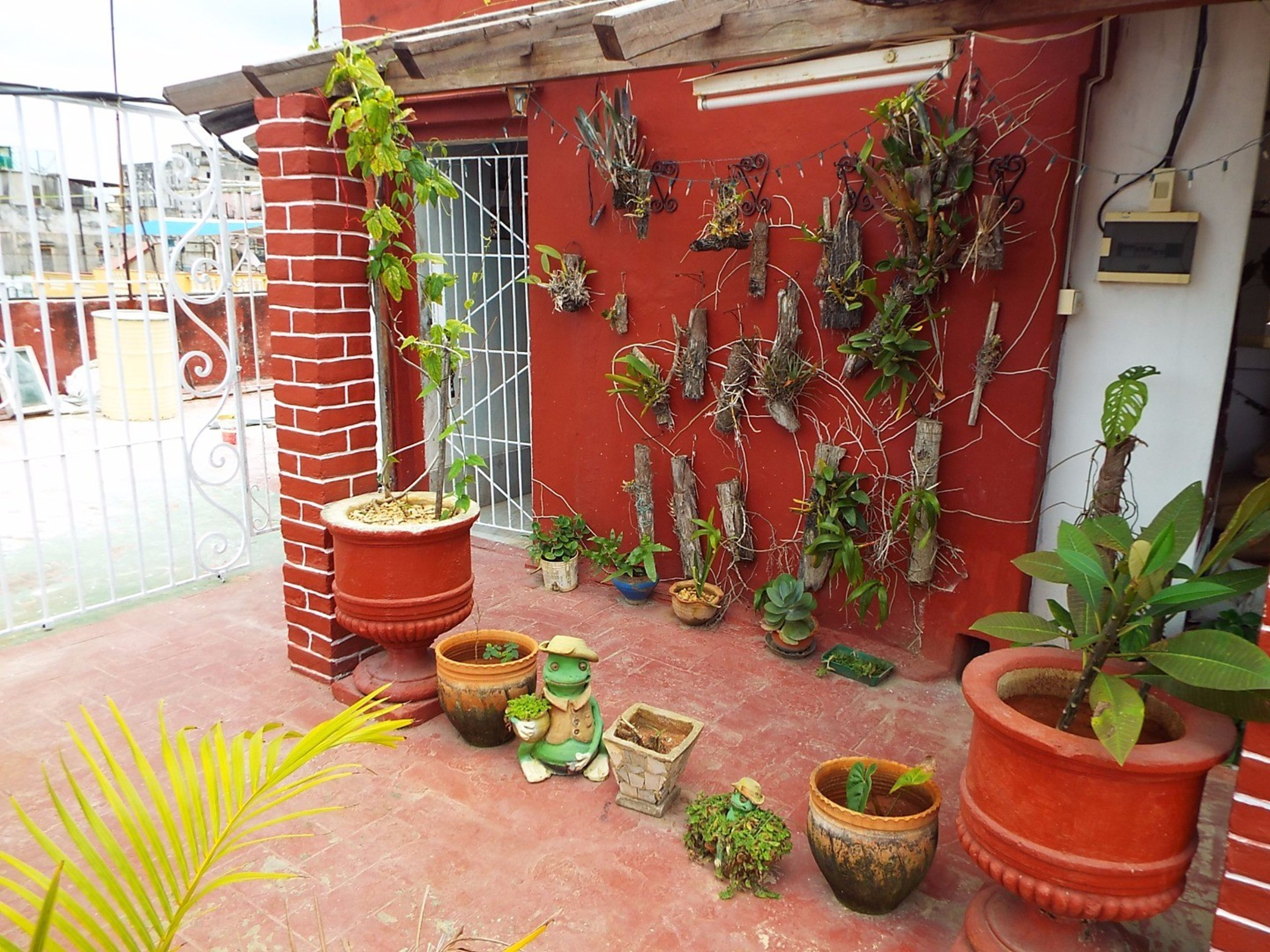 Casa de Alexis y Mary I, SAN JUAN DE DIOS, No. 106 - House's terrace view with city view