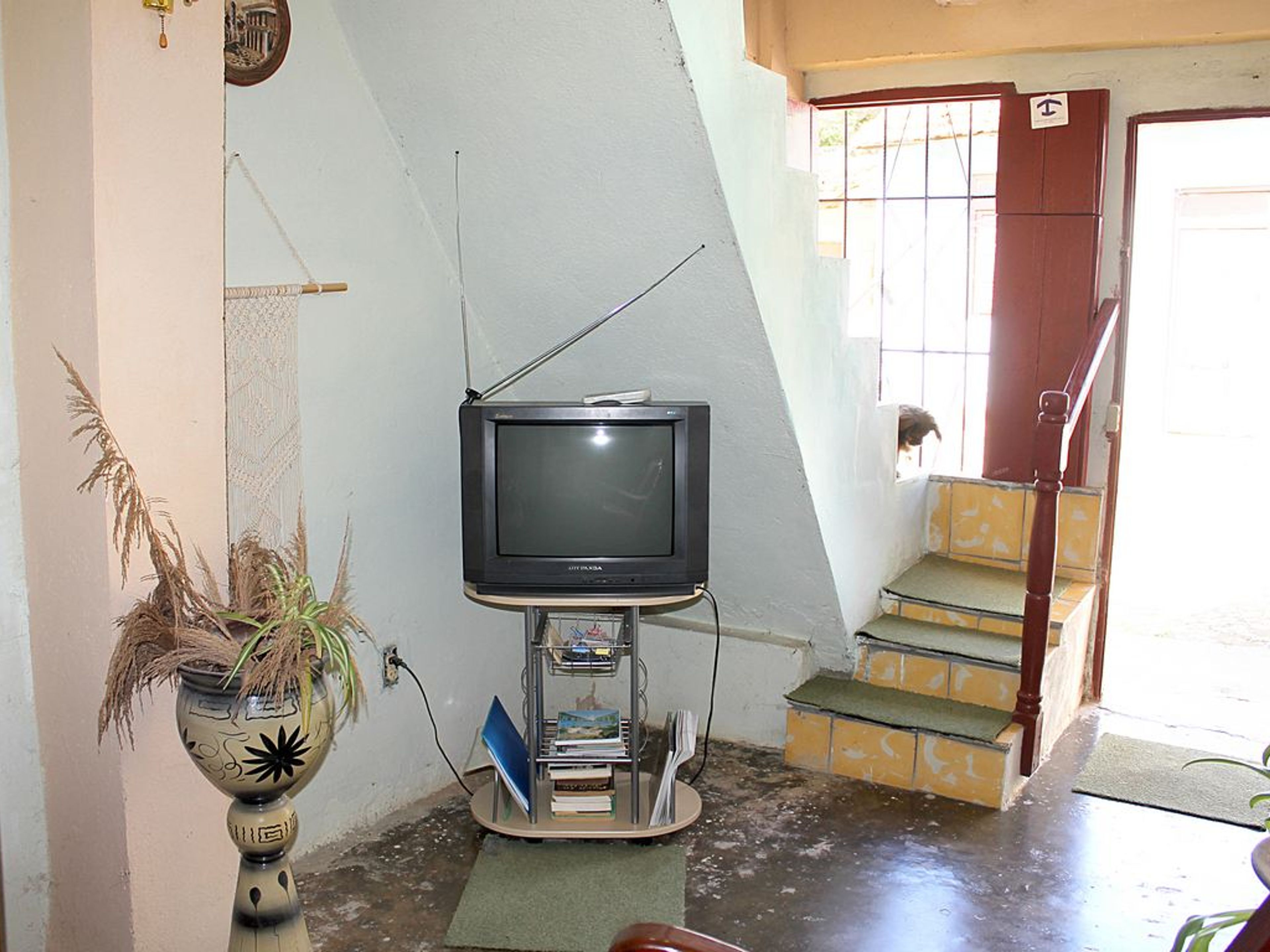 Hostal Los Animadores, ABEL SANTAMARÍA (Lirio Blanco), No.372House's living room