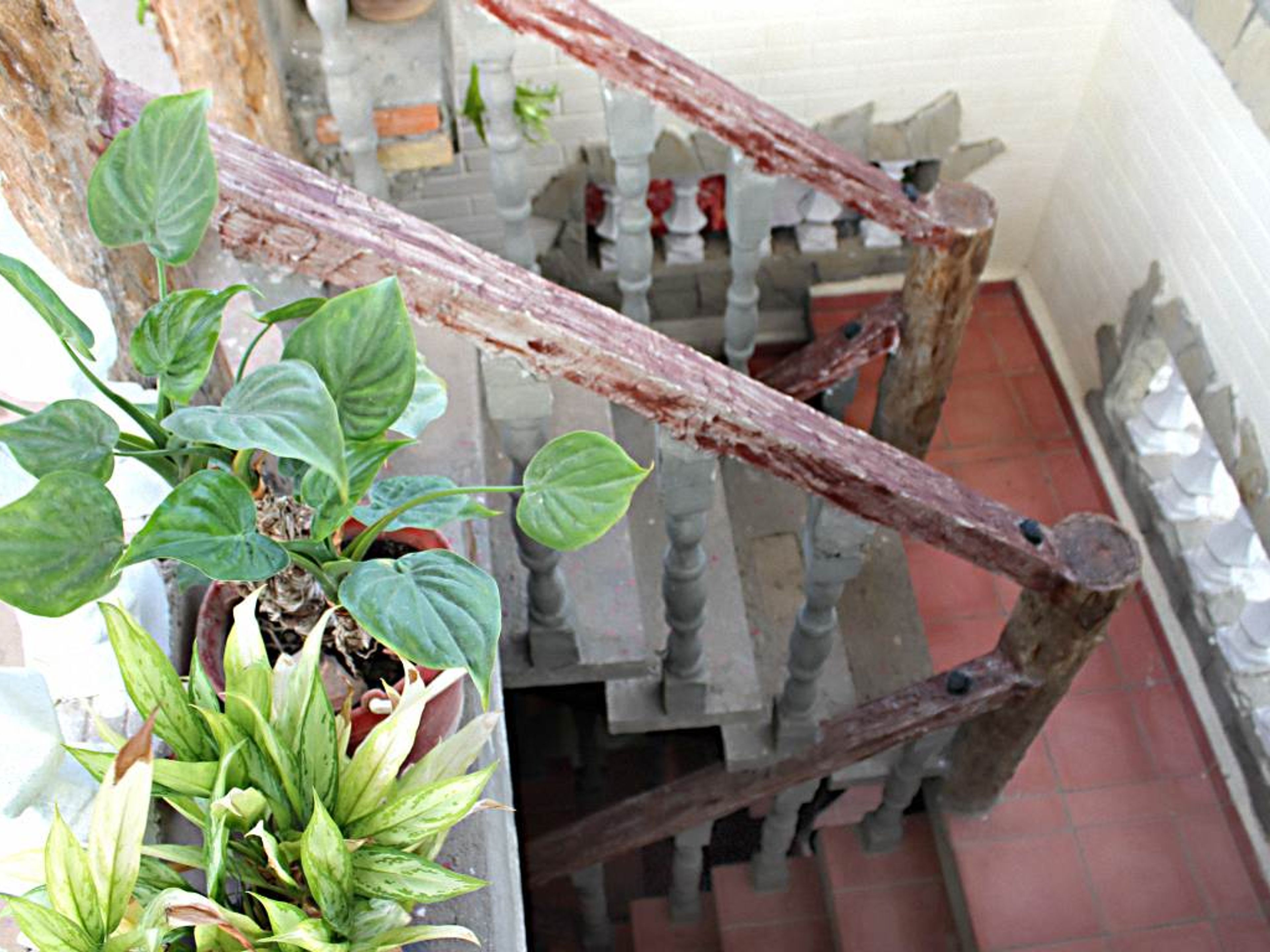 Hostal Eben Ezer, CLEMENTE PEREIRA (Cruz Verde), No. 114-A - House's details