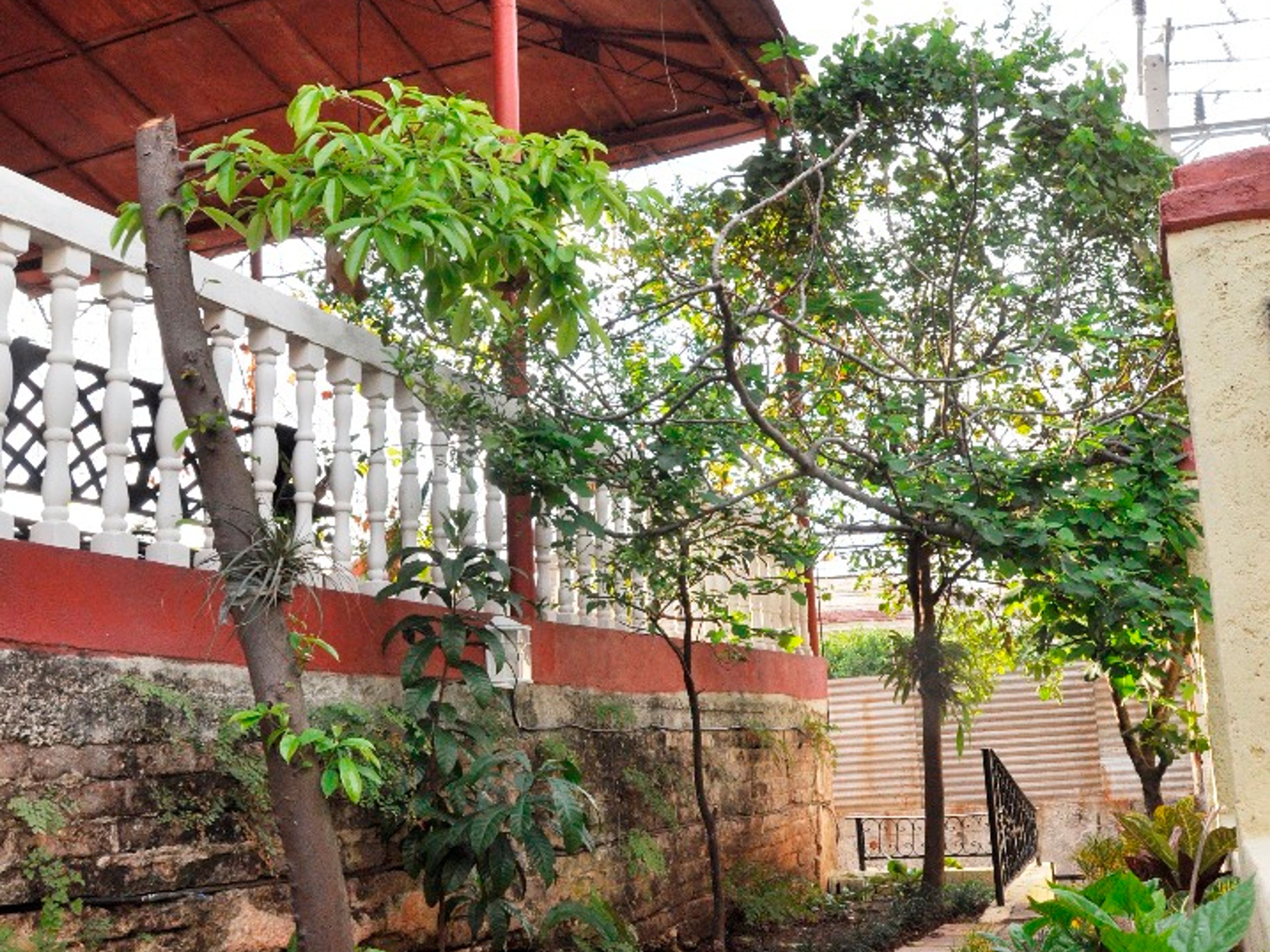 Hostal Casa de Palo, CALLE D, No. 502House's garden view