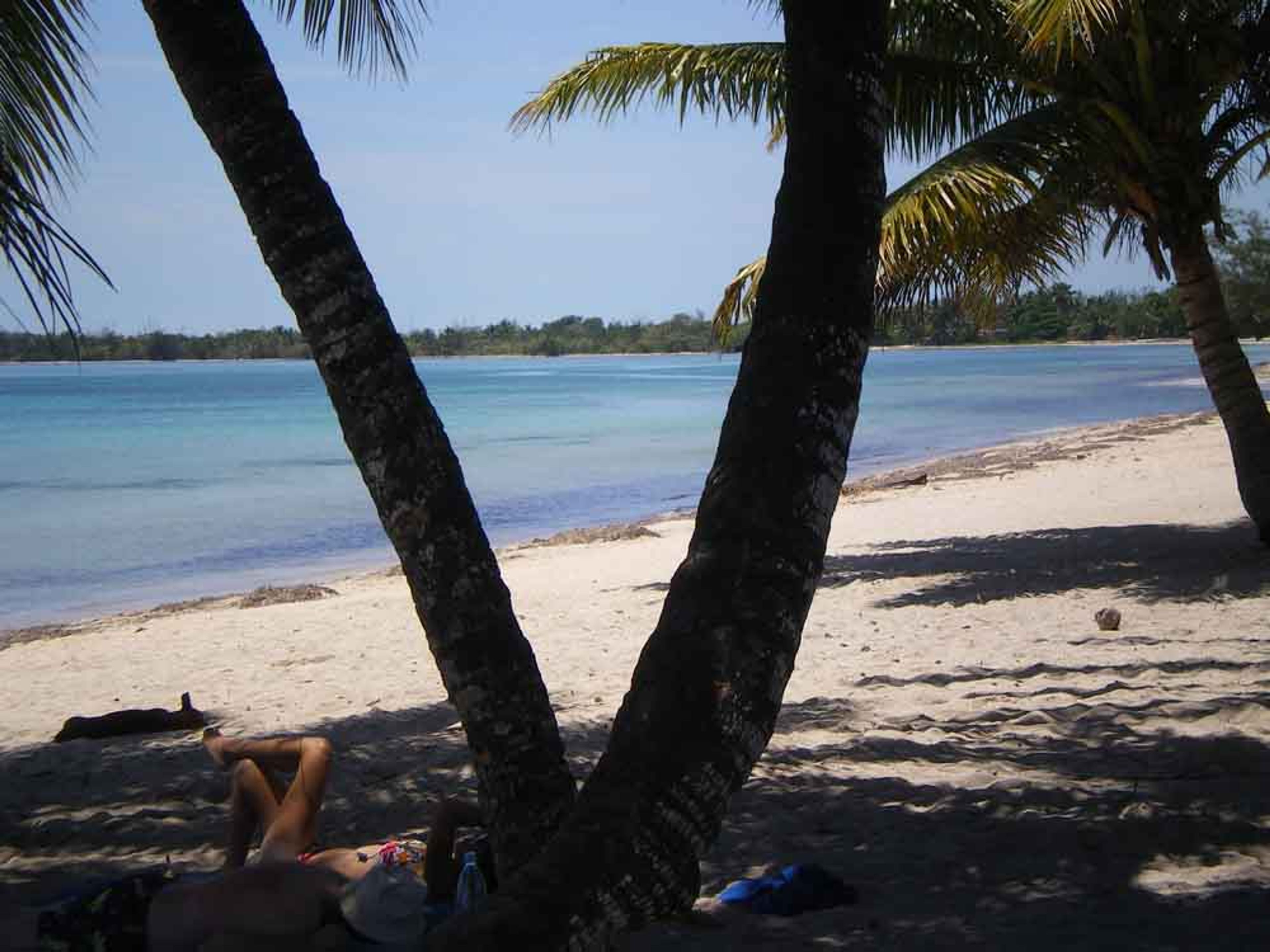 Casa OTTO, CALETÓNPlaya Larga beach panoramic view, Bay of Pigs, Matanzas